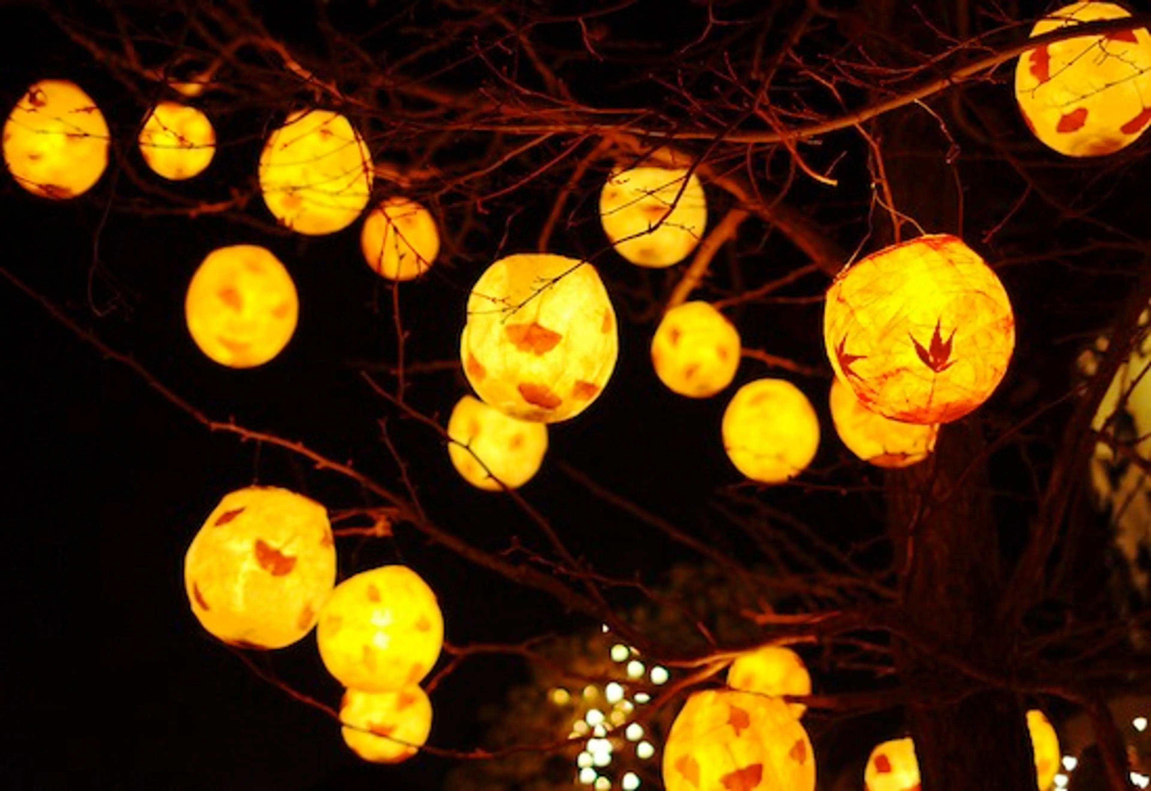 winter solstice lantern festival