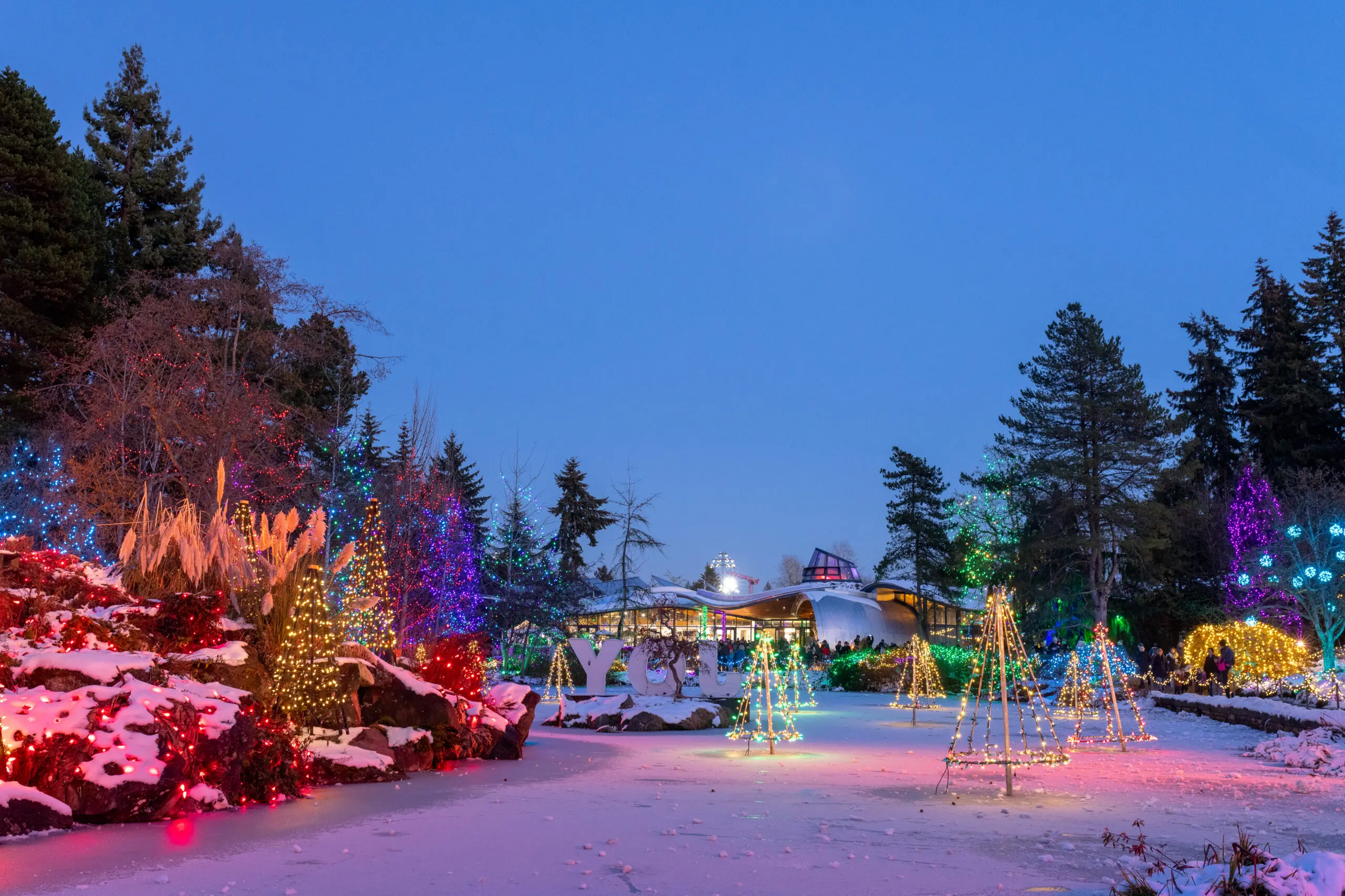 See These Christmas Light Displays Across Vancouver This December