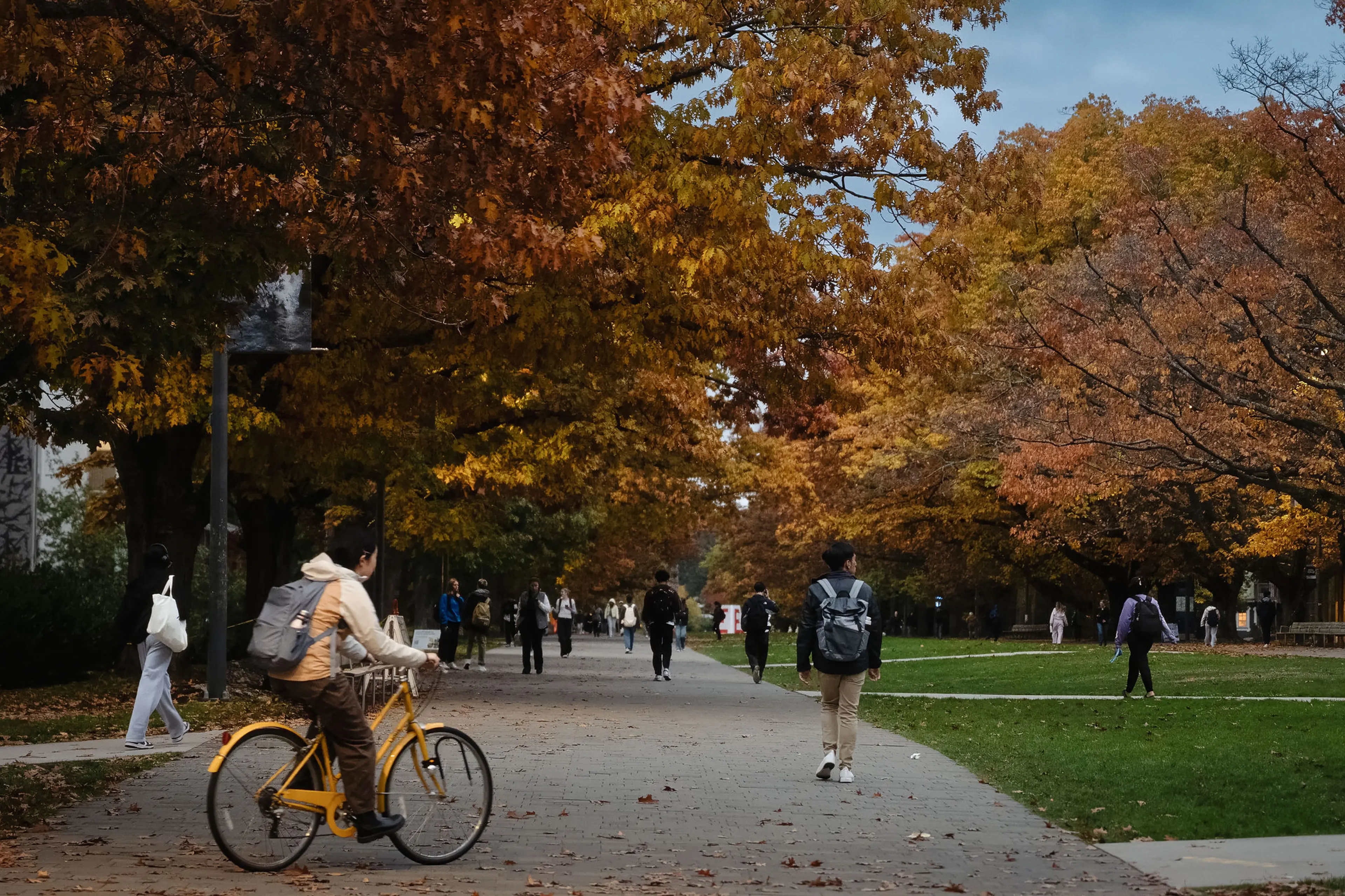 Person riding a yellow bicycle on a tree-lined path with autumn foliage and several people walking.