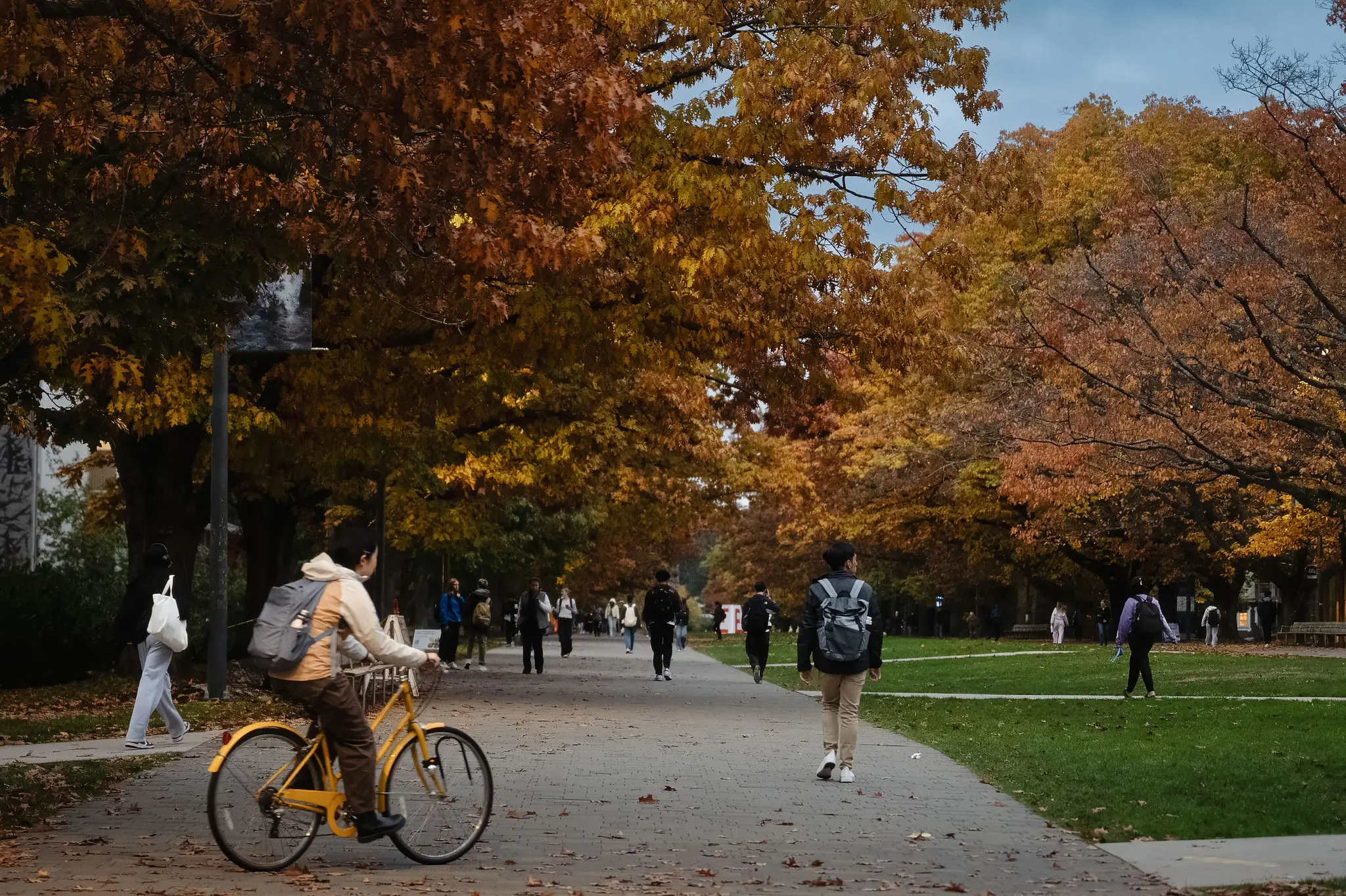 Person riding a yellow bicycle on a tree-lined path with autumn foliage and several people walking.