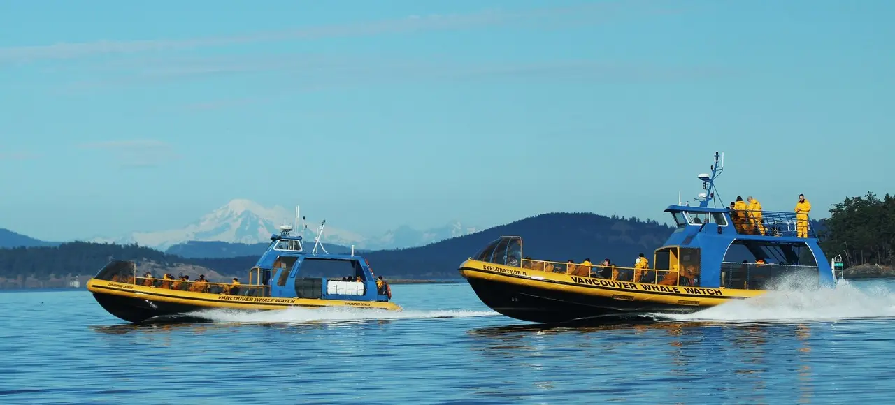 Vancouver Whale Watch