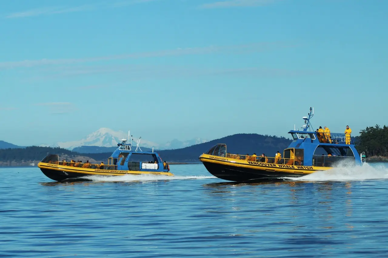 Vancouver Whale Watch