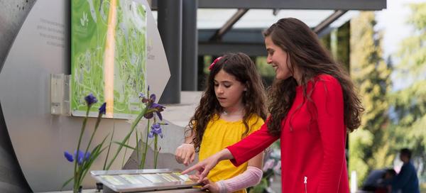 Today in the Garden display