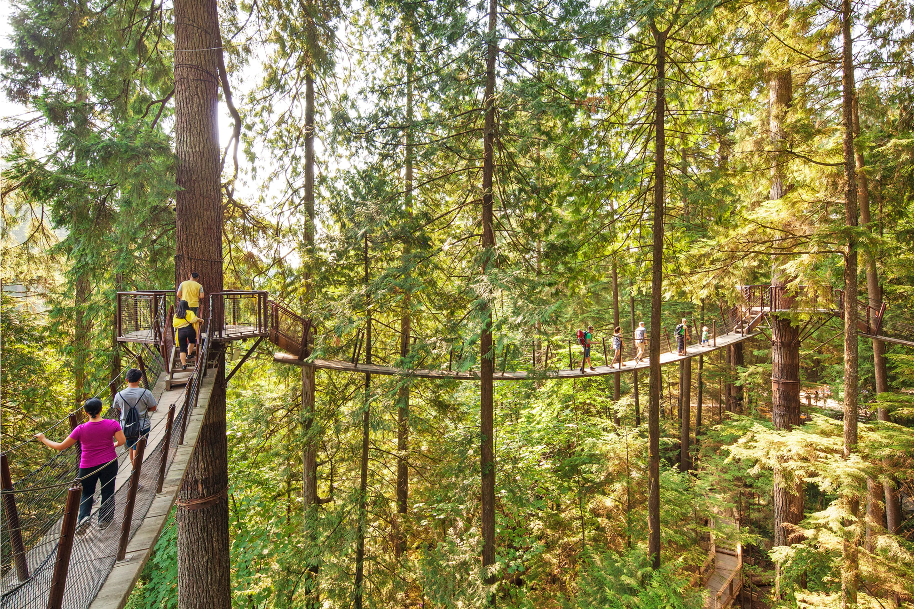 8 Easy Ways to Experience the Wilderness Near Vancouver