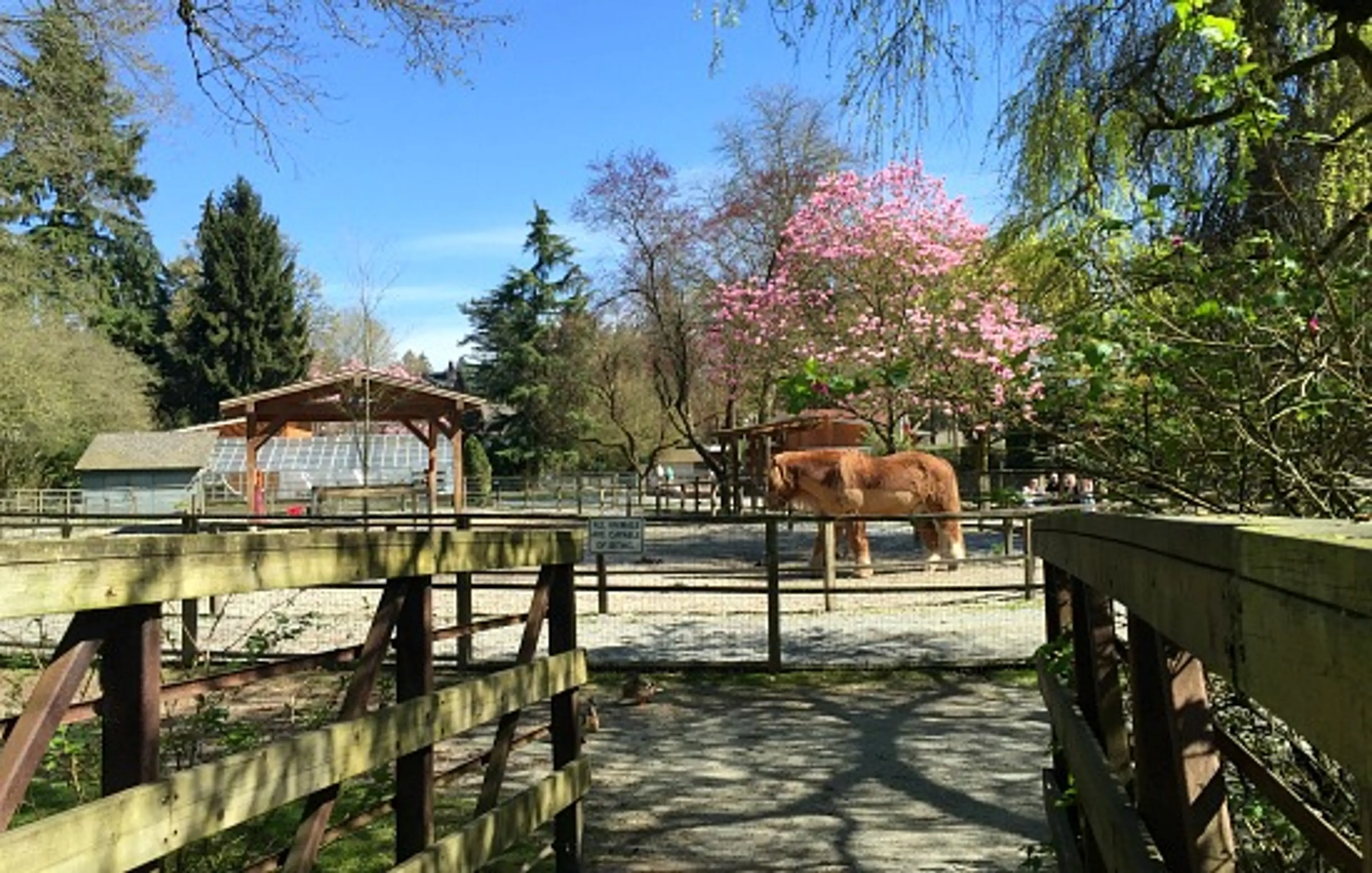 The Horses Of Maplewood Farm | Photo: Bianca Bujan
