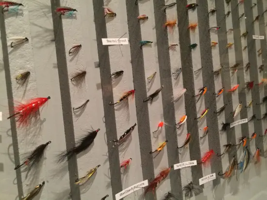 Photo Credit: Tara Lee