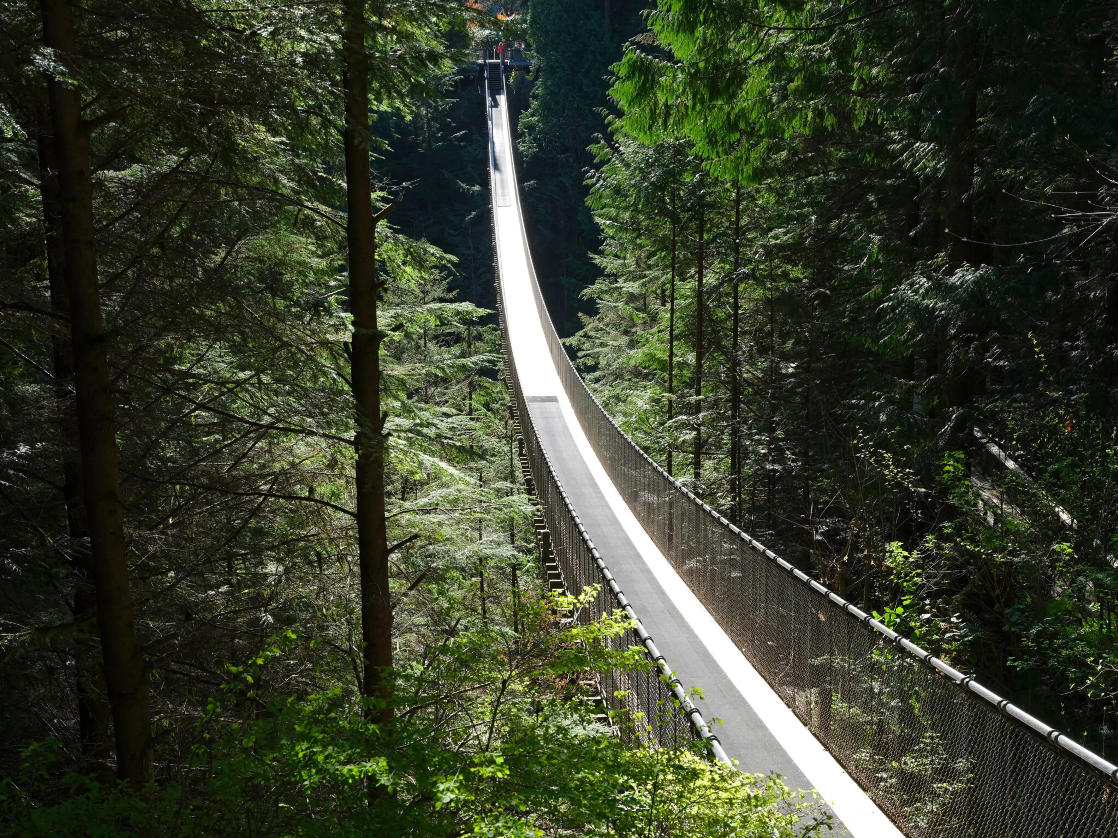 Capilano Suspension Bridge.
