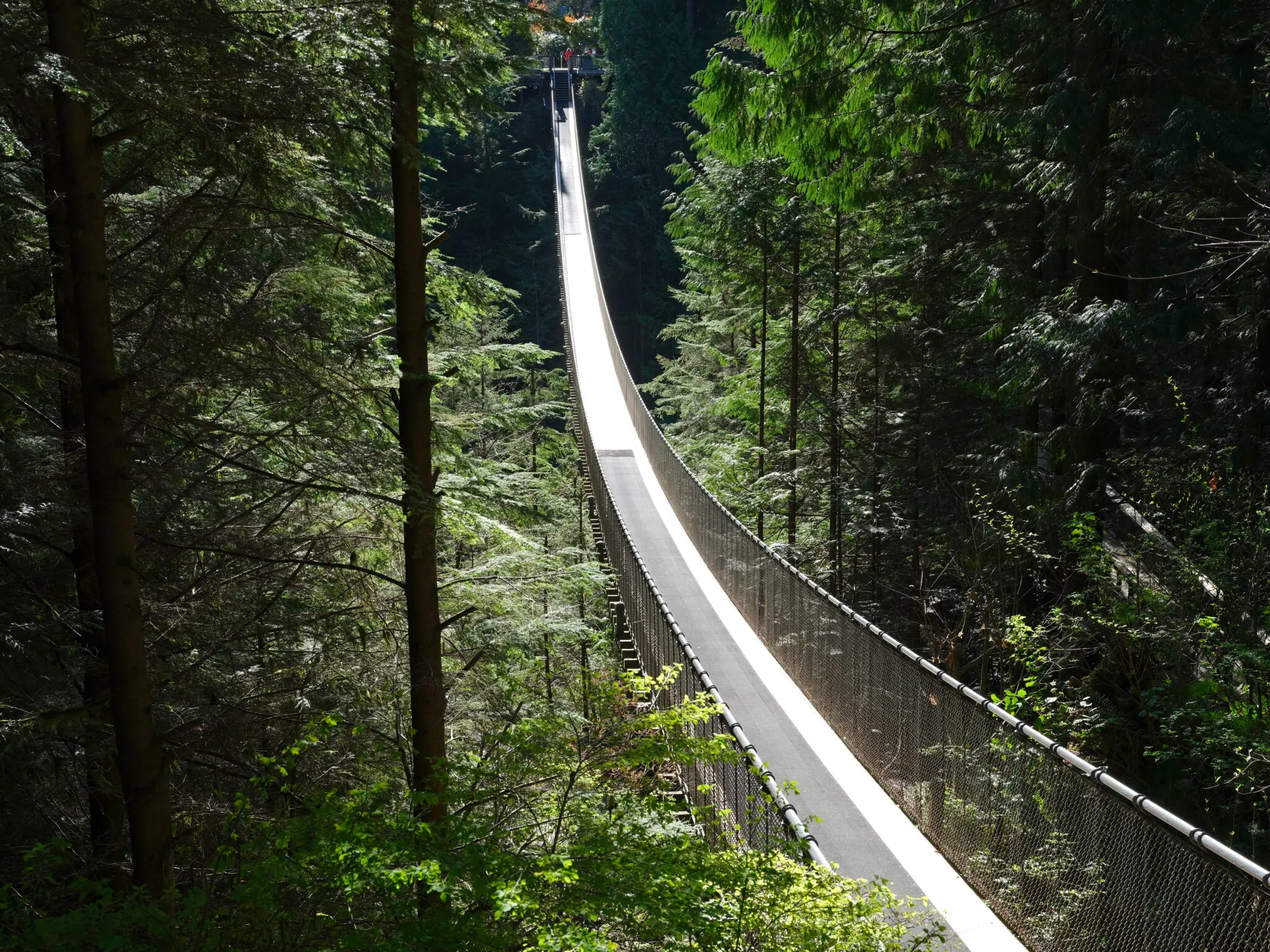 Capilano Suspension Bridge.