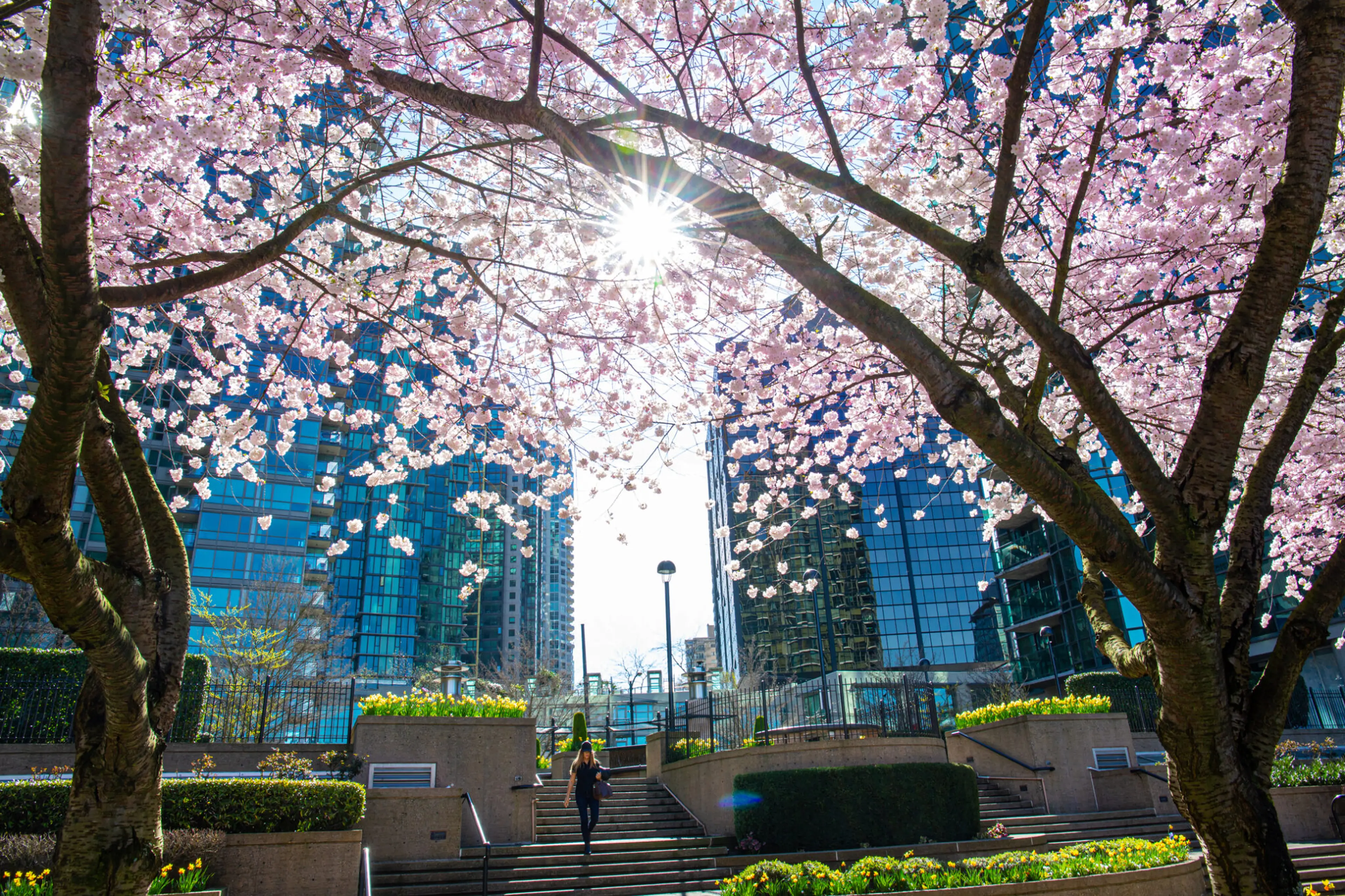 Things To Do in Vancouver This Weekend