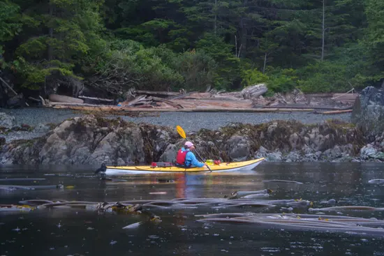 bc-marine-trail-discover-the-outdoors2