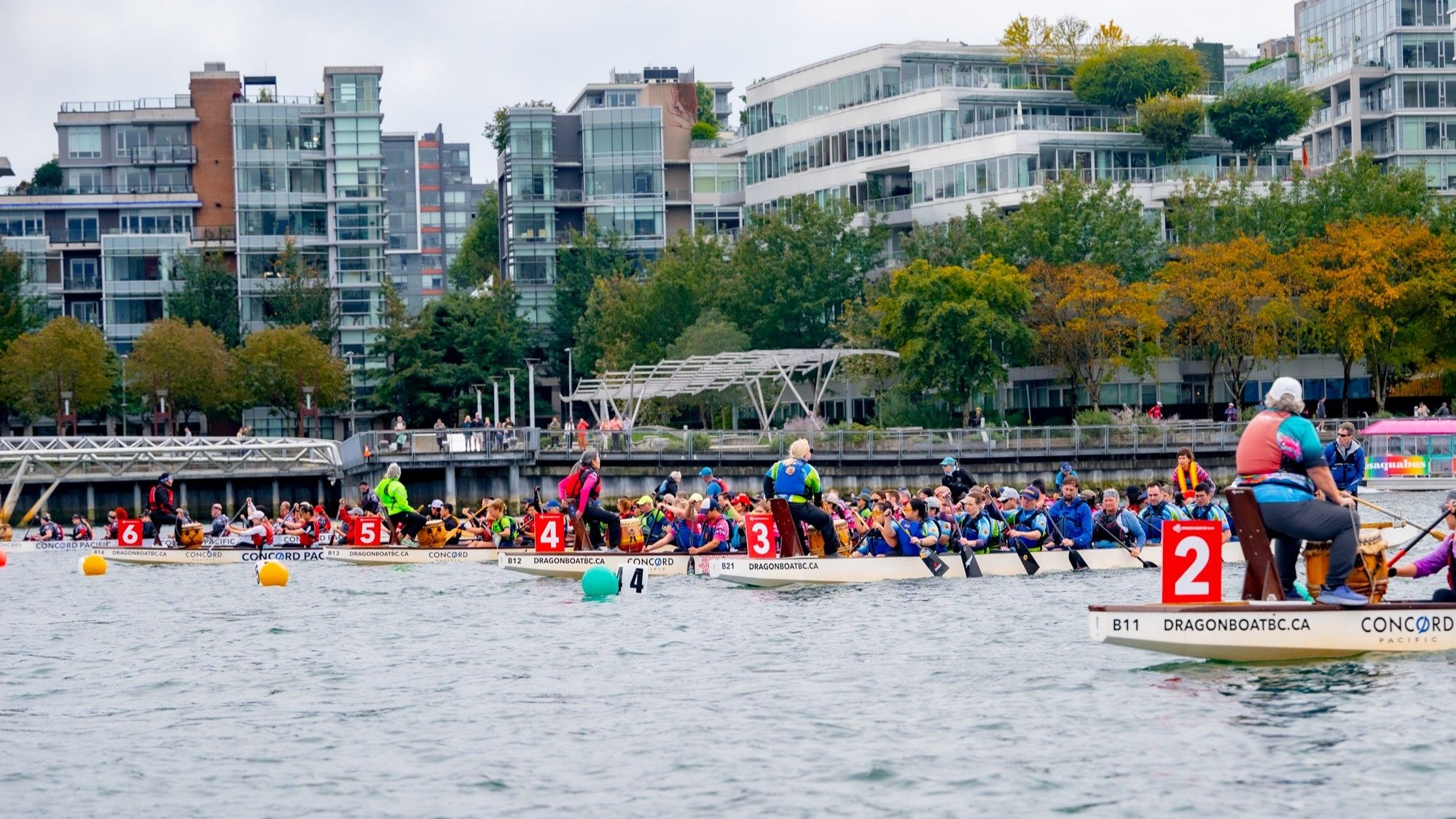 Six dragon boats with teams paddling on a river near a city waterfront with modern buildings and trees in autumn colors.