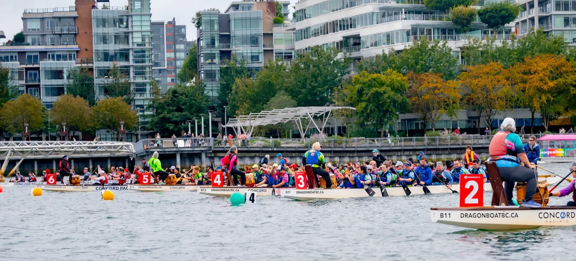 Six dragon boats with teams paddling on a river near a city waterfront with modern buildings and trees in autumn colors.