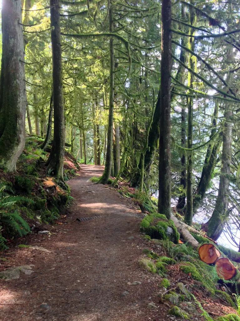 Forested trail at Buntzen Lake near Vancouver