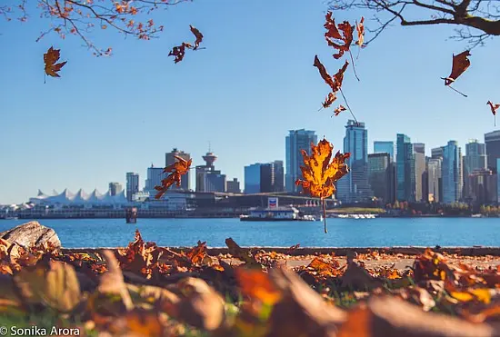 Kids In Vancouver: 5 Perfect Spots To Snap Fall Photos Of Your Family