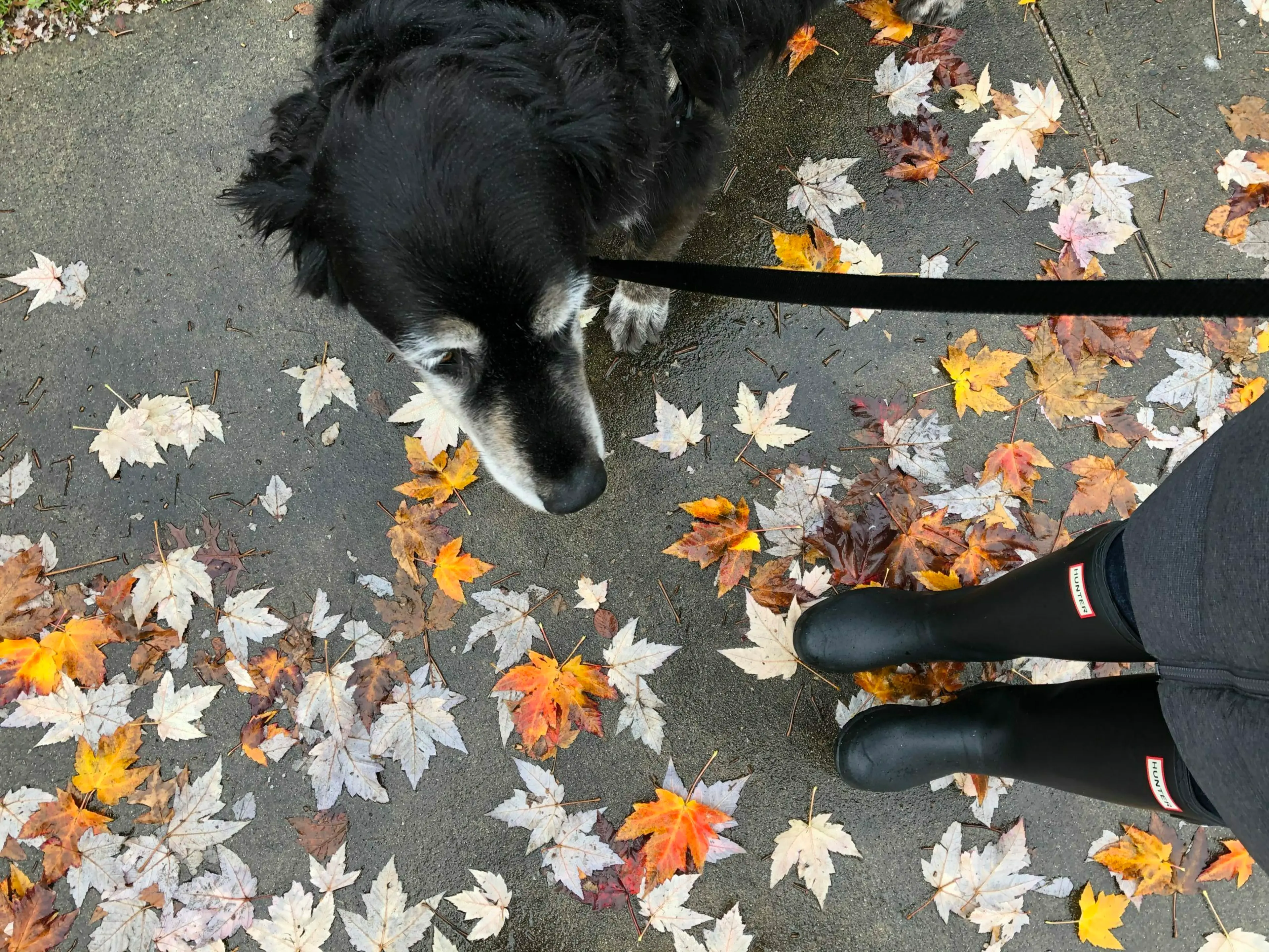 Walking in the rain healthy benefits