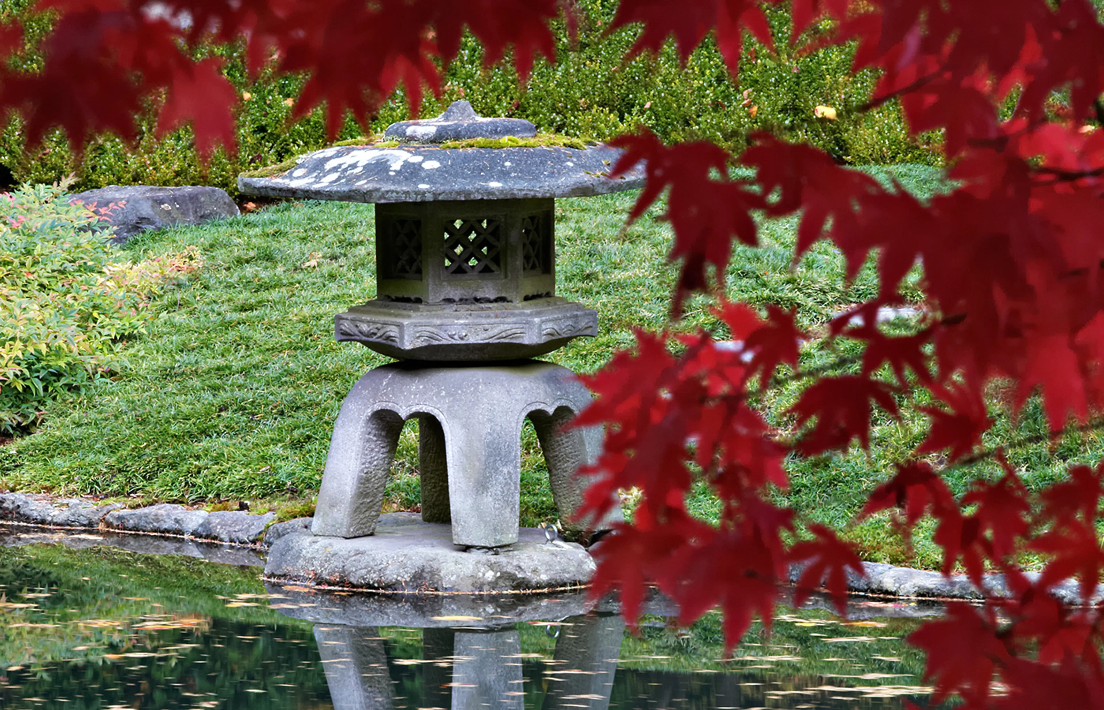 The NItobe Memorial GArden at the UBC Botanical Garden in Vancouver