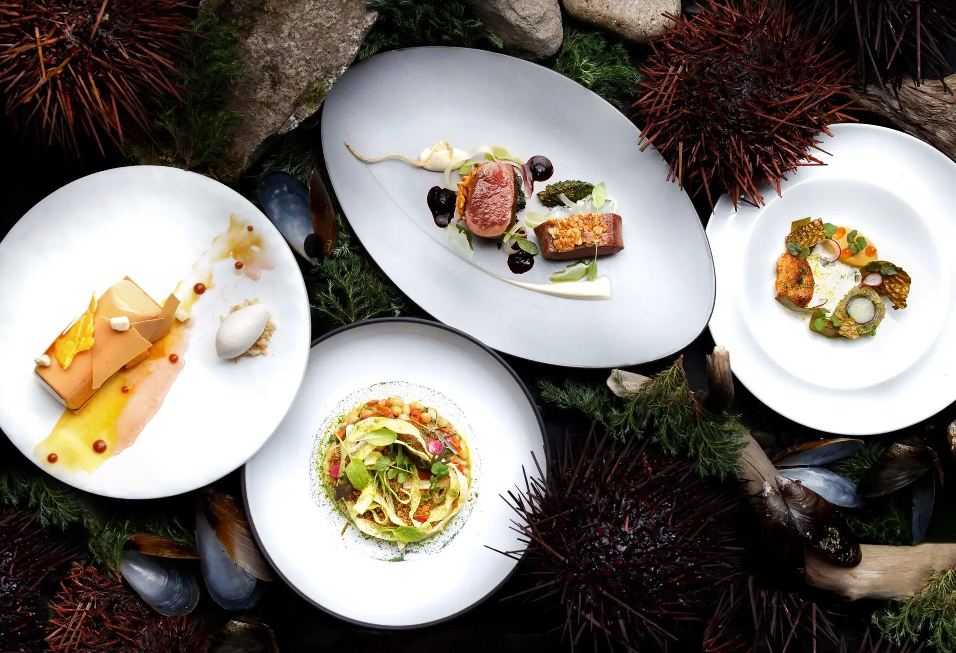 Four gourmet dishes on plates arranged on a bed of sea urchins, shells, and greenery at the Boulevard Kitchen & Oyster Bar in Vancouver.