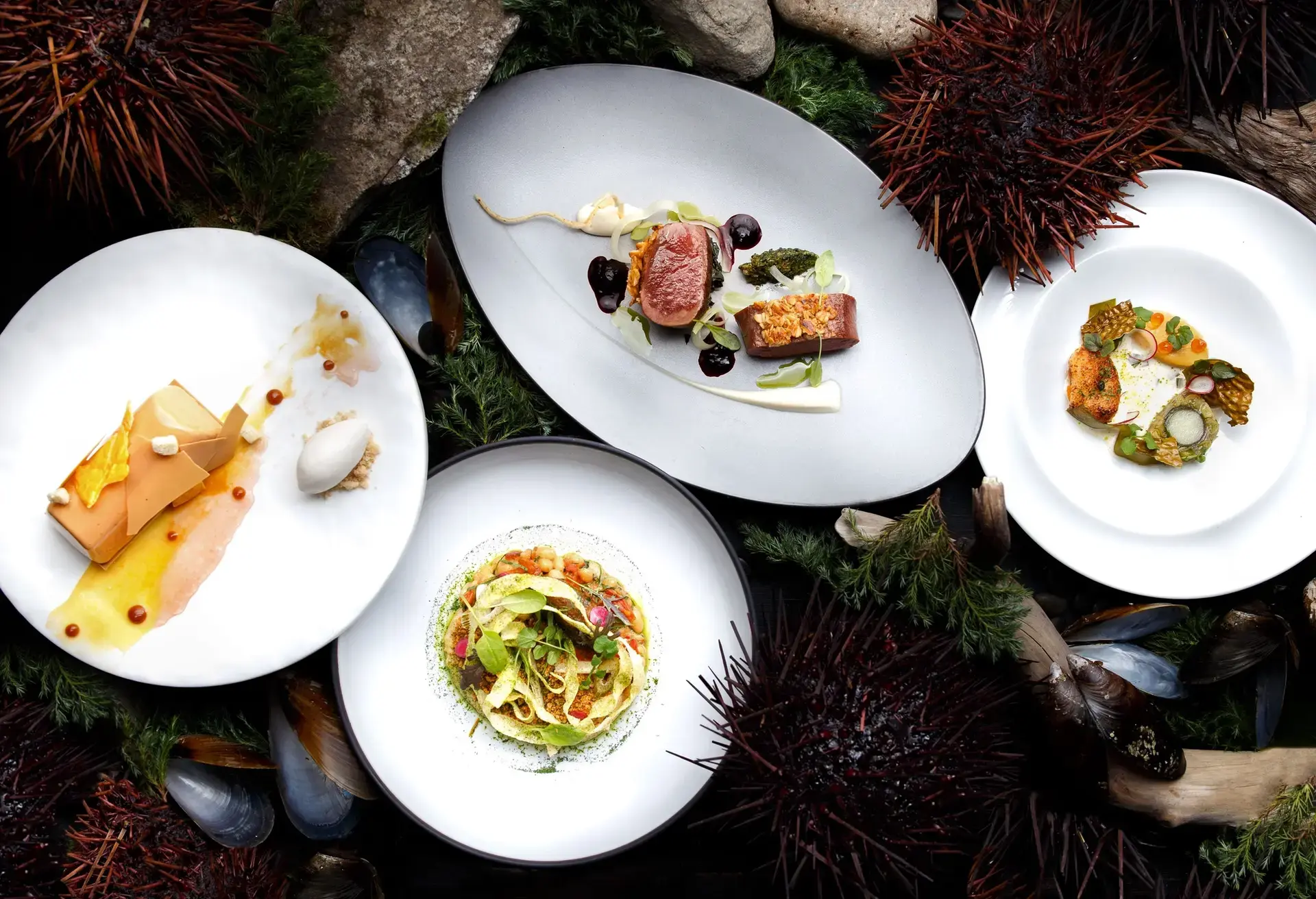 Four gourmet dishes on plates arranged on a bed of sea urchins, shells, and greenery at the Boulevard Kitchen & Oyster Bar in Vancouver.