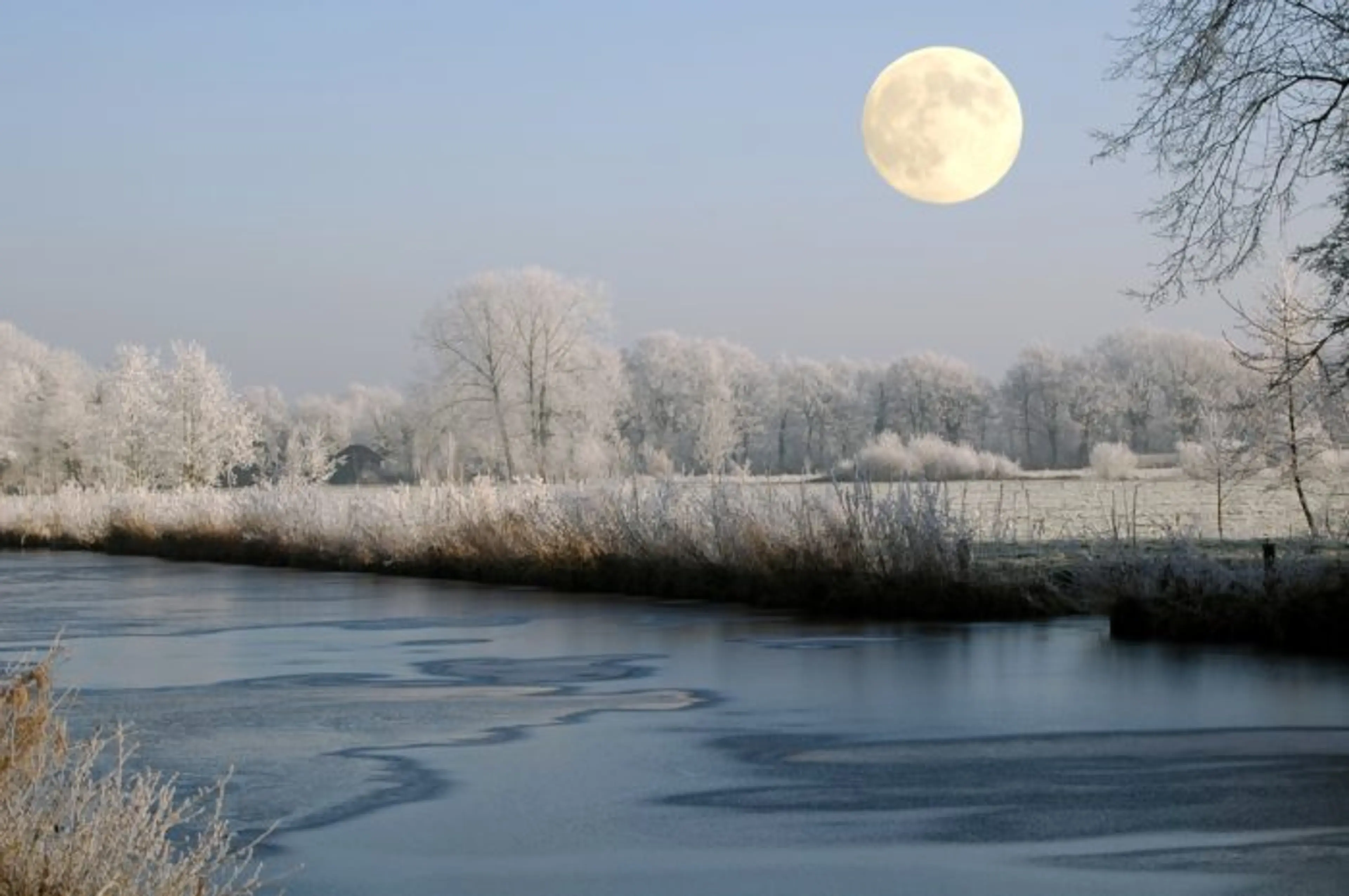 Solstice Greetings