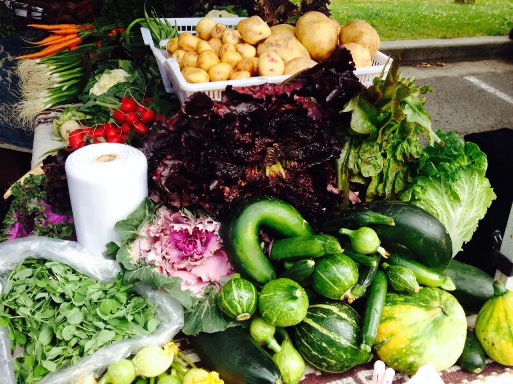 Trout Lake Farmers Market | Things To Do In Vancouver This Weekend