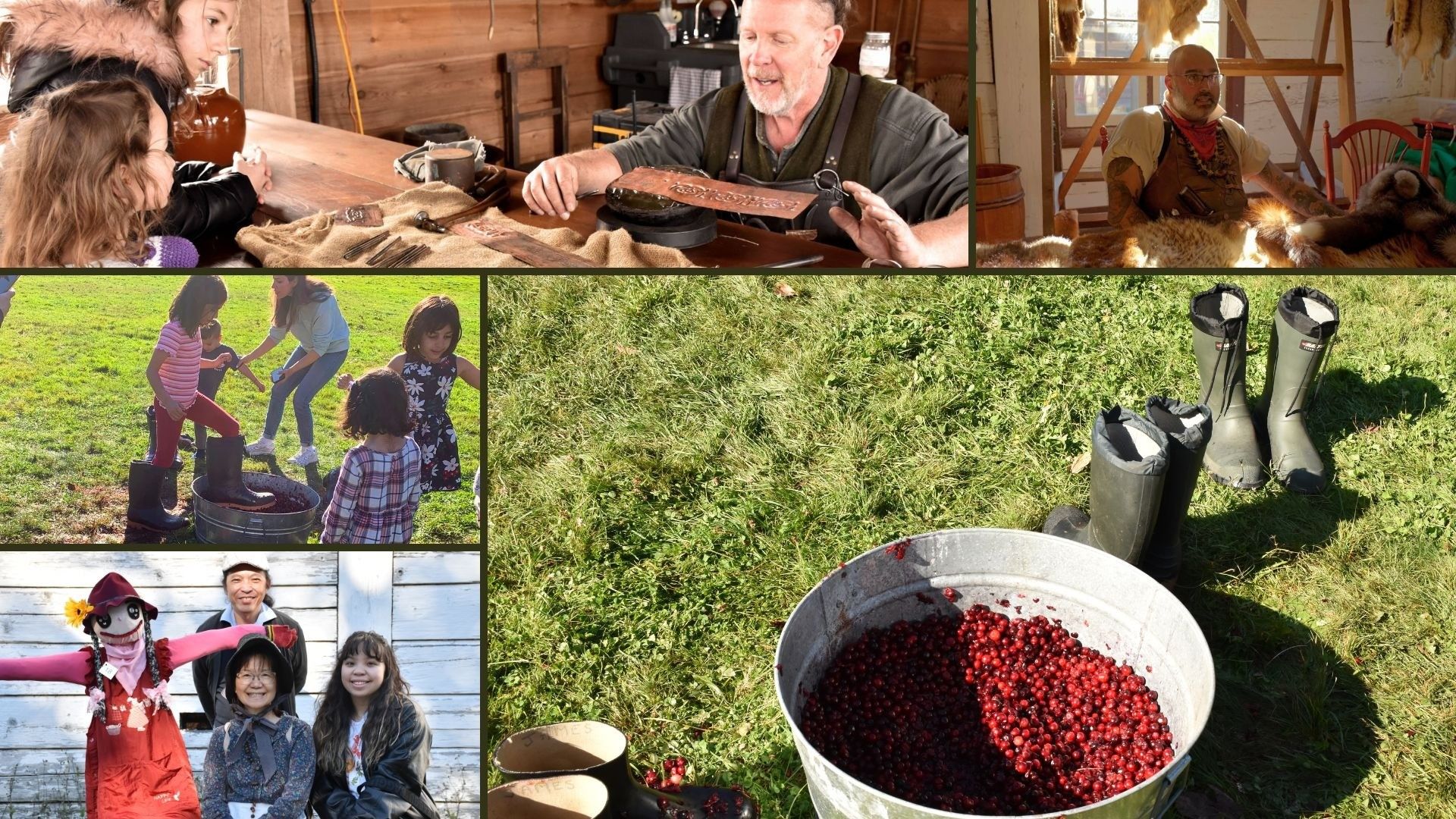 w-1920h-1080-a3d5b3-Cranberry Festival (1)