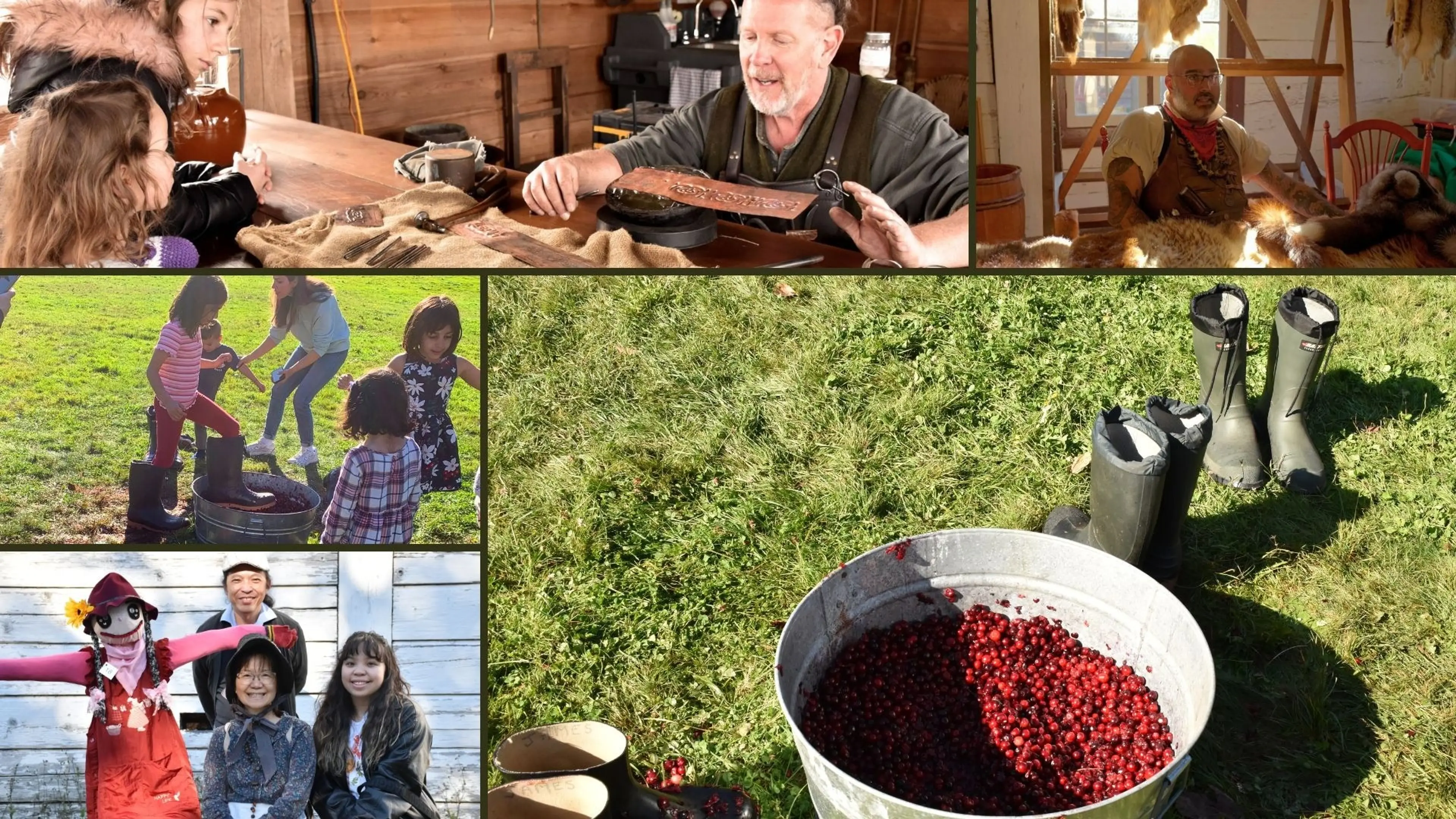 w-1920h-1080-a3d5b3-Cranberry Festival (1)