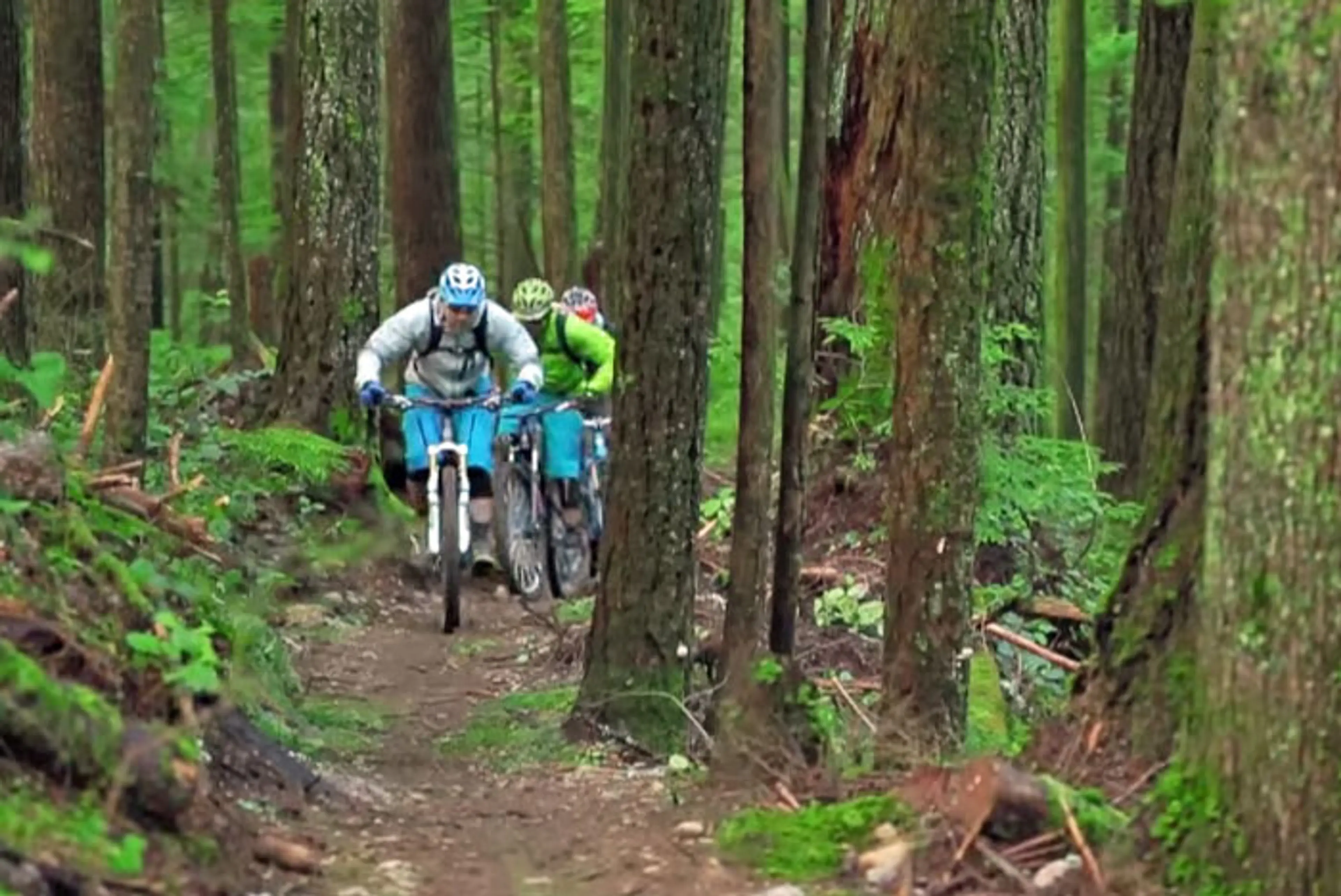 8 Beginner-Friendly Places to Mountain Bike Near Vancouver