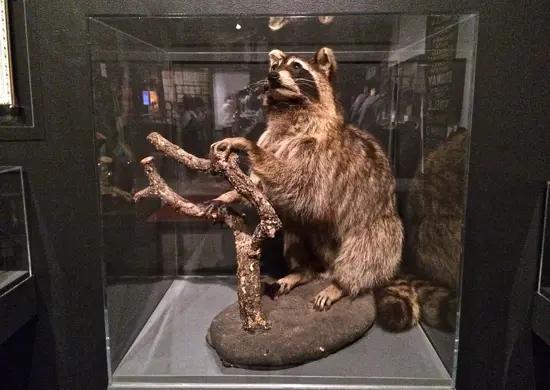 Photo Credit: Tara Lee