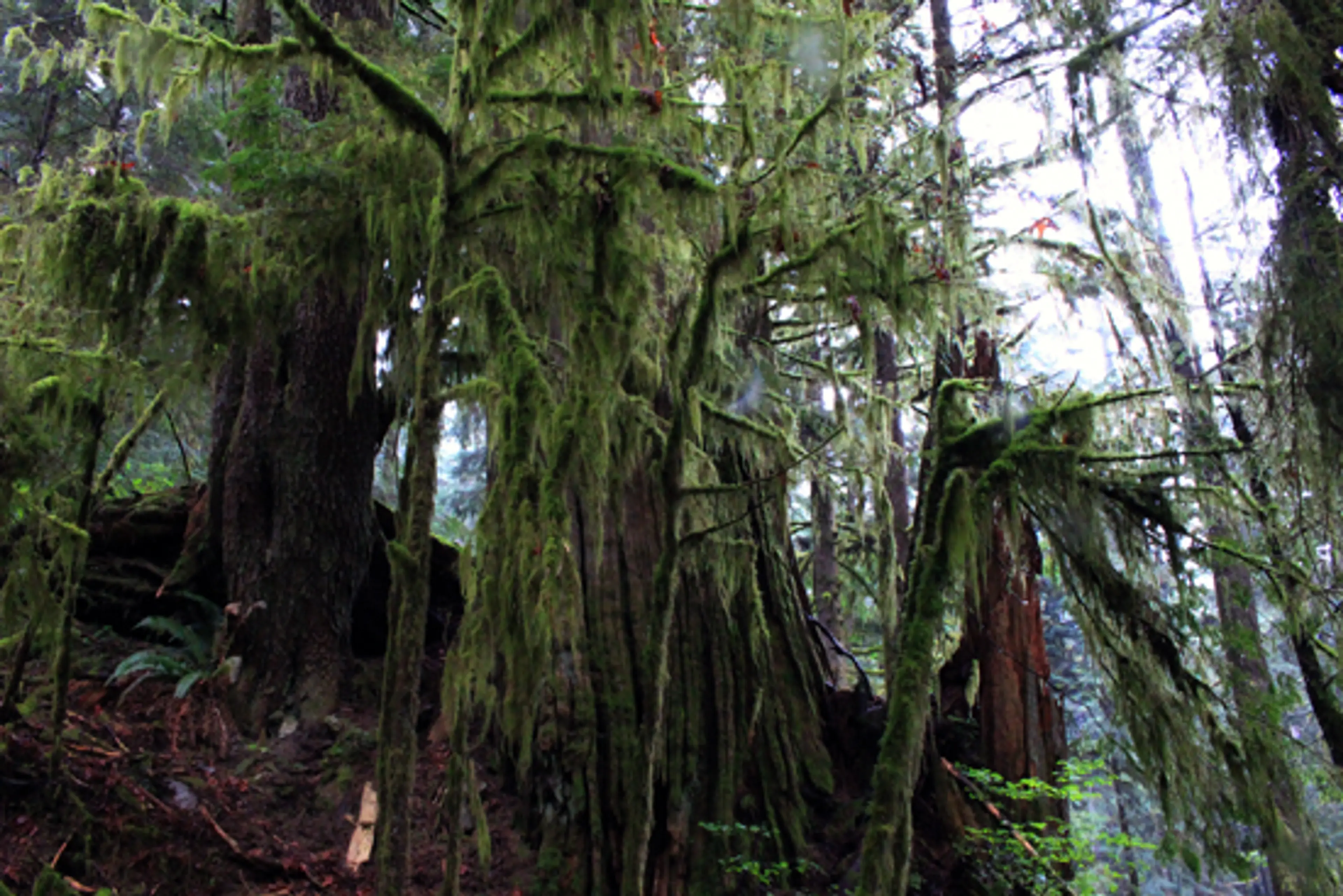 Discover Outdoors Kennedy Falls5
