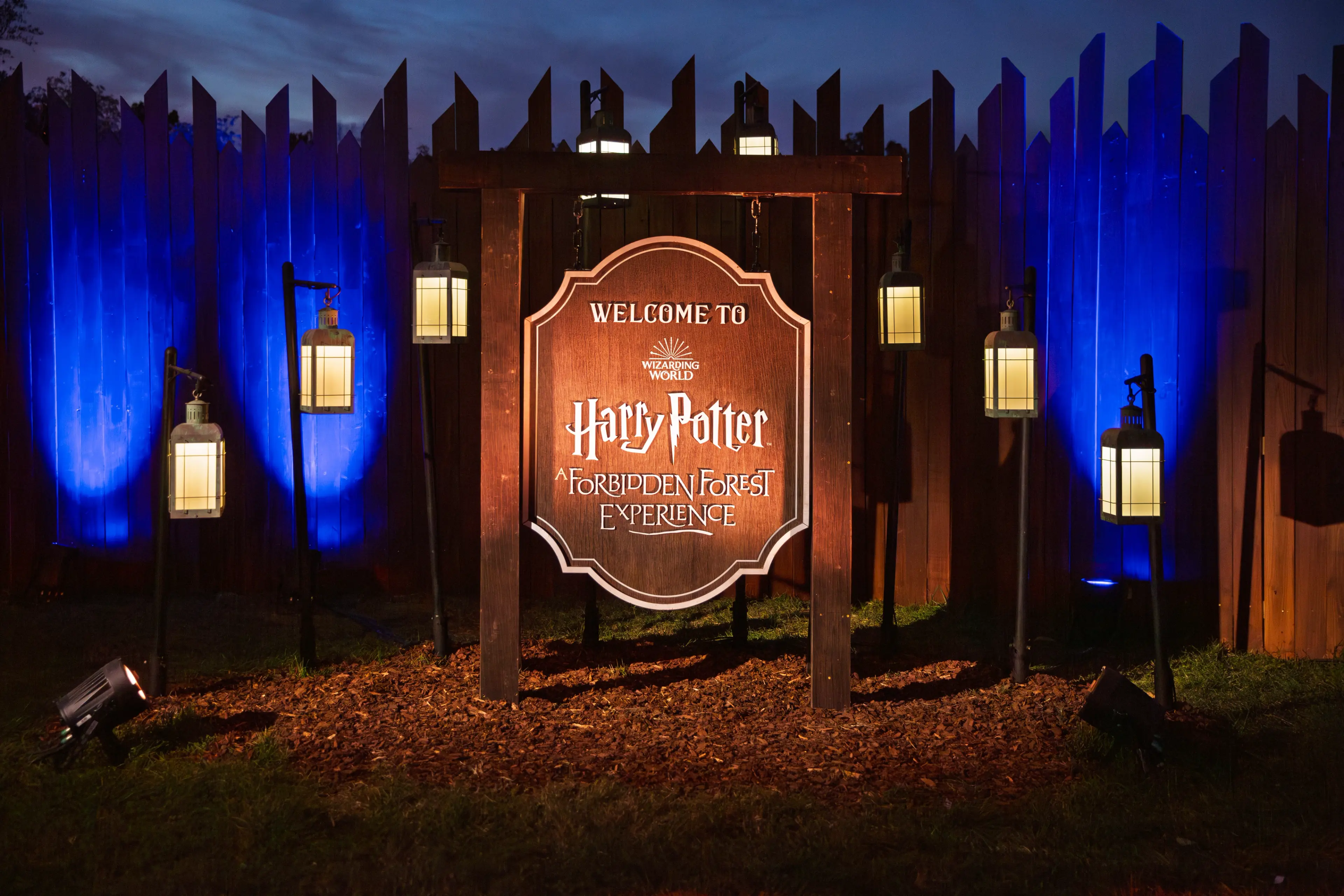 Harry Potter™ Forbidden Forest Experience wooden entrance sign lit up by lanterns. 