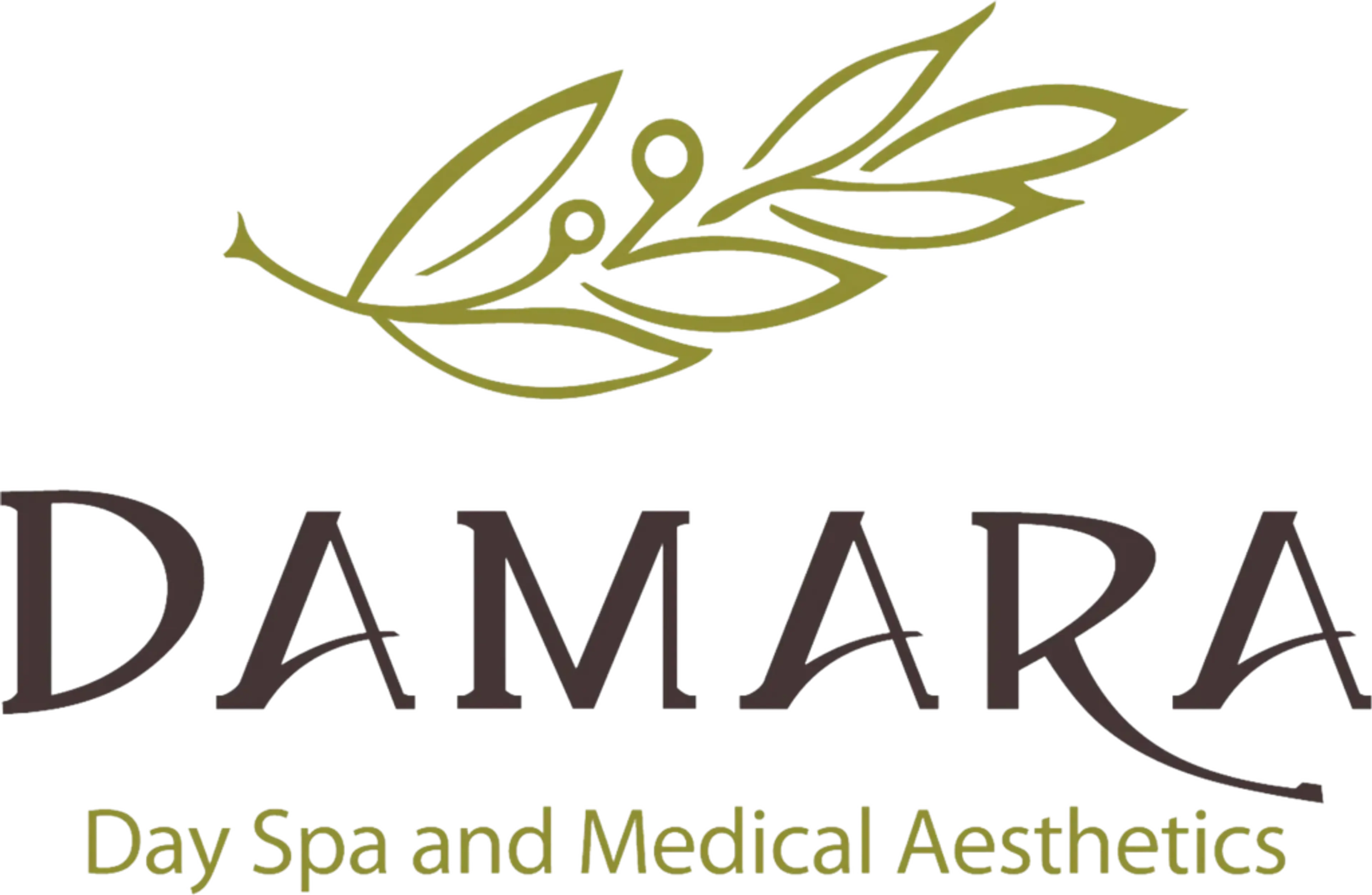Logo with olive branch illustration above the text 'DAMARA' and 'Day Spa and Medical Aesthetics' below.
