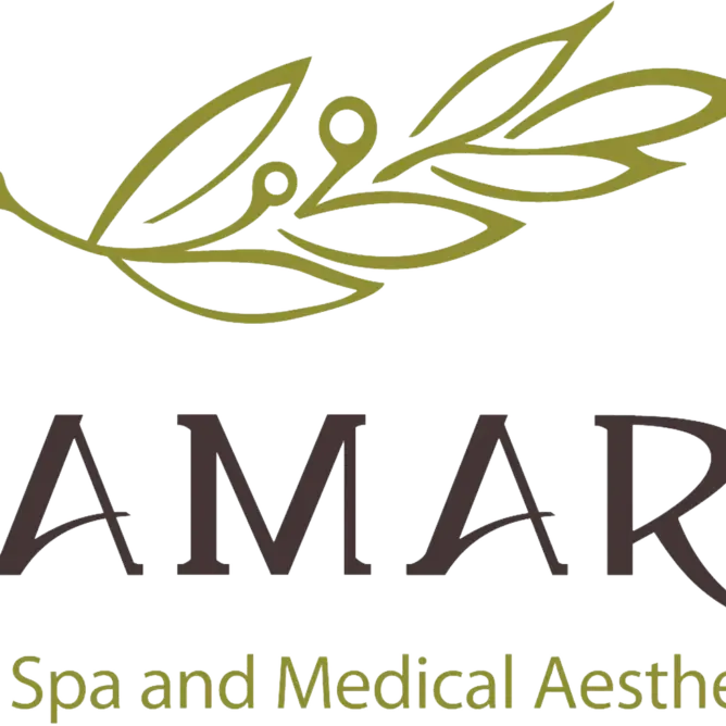Logo with olive branch illustration above the text 'DAMARA' and 'Day Spa and Medical Aesthetics' below.