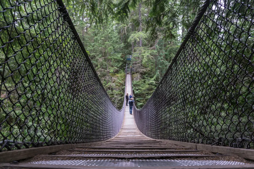March 2022 Vancouver Hike of the Month: Baden Powell Trail from Deep Cove to Lynn Canyon
