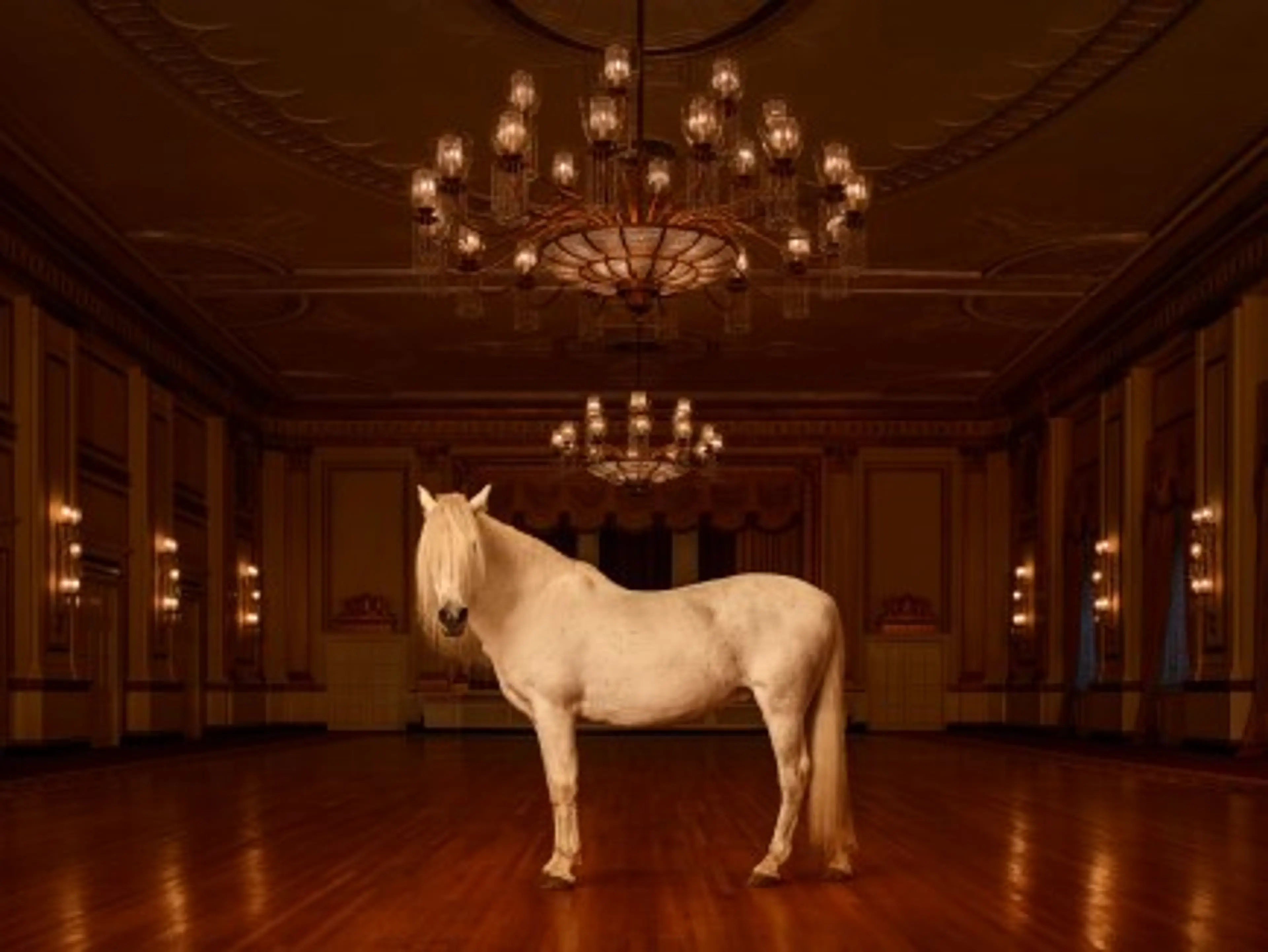 Fairmont Hotel Vancouver Celebrates 80 Years With Contemporary Photo Exhibition and Luxury Packages