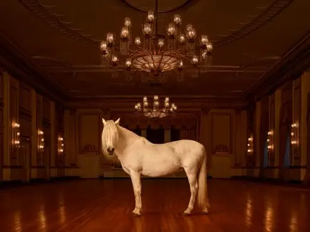 Fairmont Hotel Vancouver Celebrates 80 Years With Contemporary Photo Exhibition and Luxury Packages