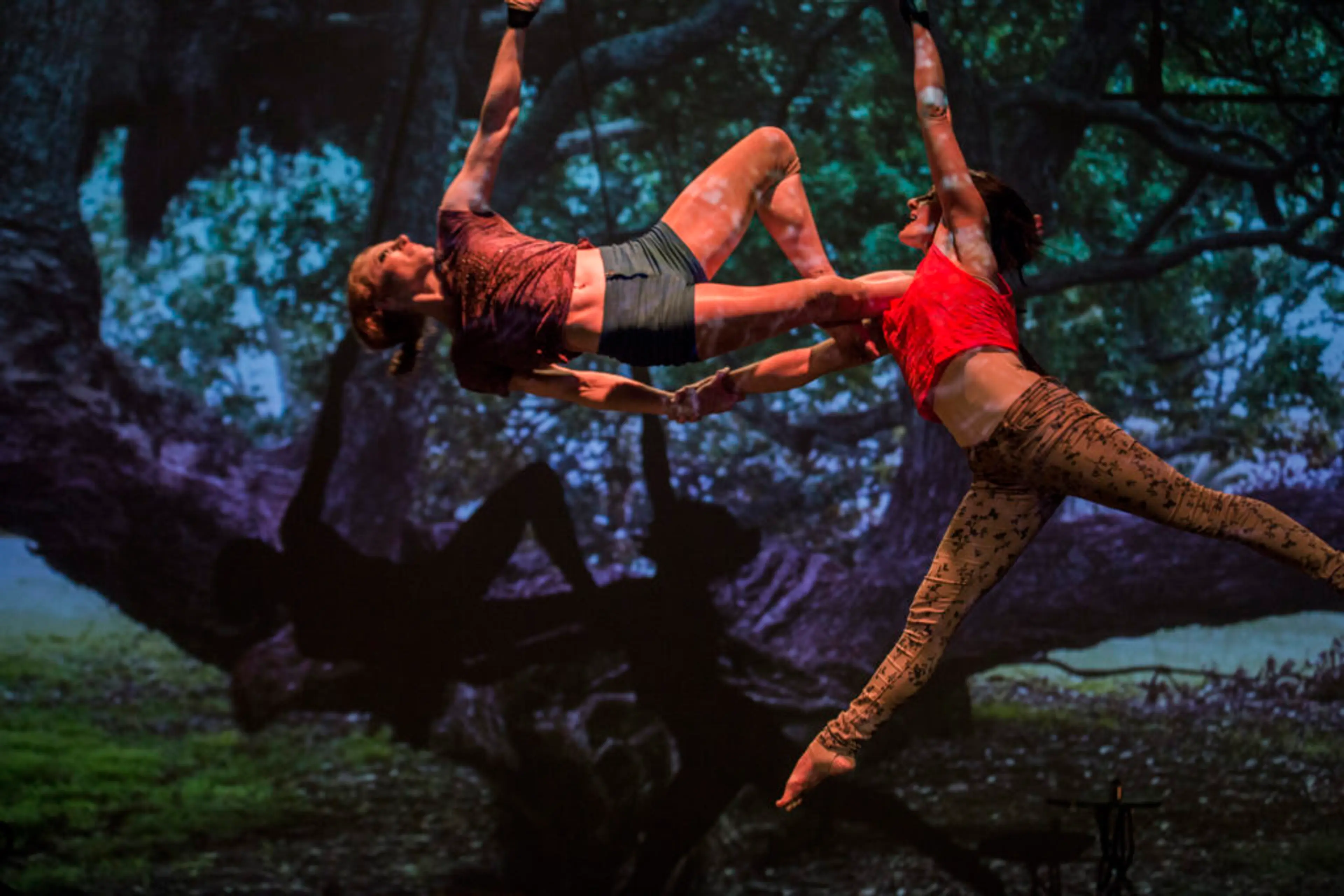 Beware the temptation of adults-only New Zealand circus troupe’s Goblin Market