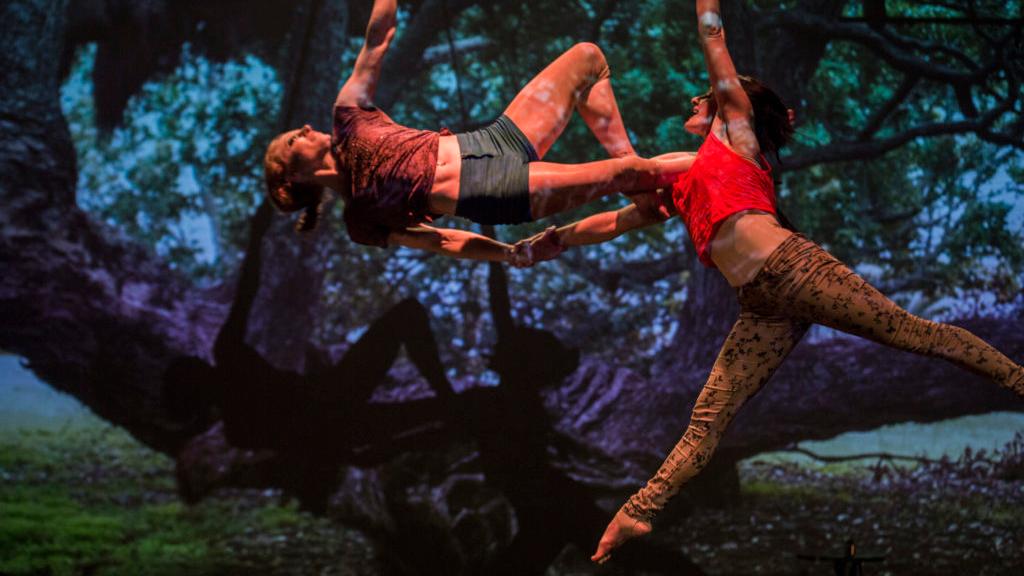 Beware the temptation of adults-only New Zealand circus troupe’s Goblin Market