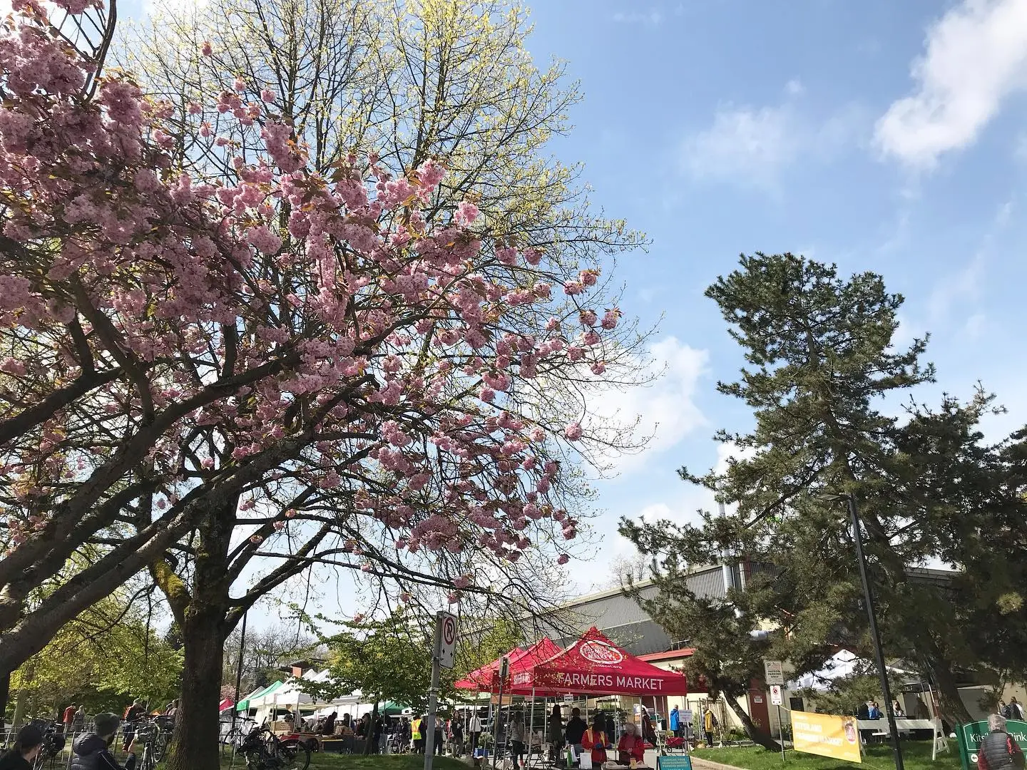 Support Local Farmers and Producers at Vancouver Farmers Markets