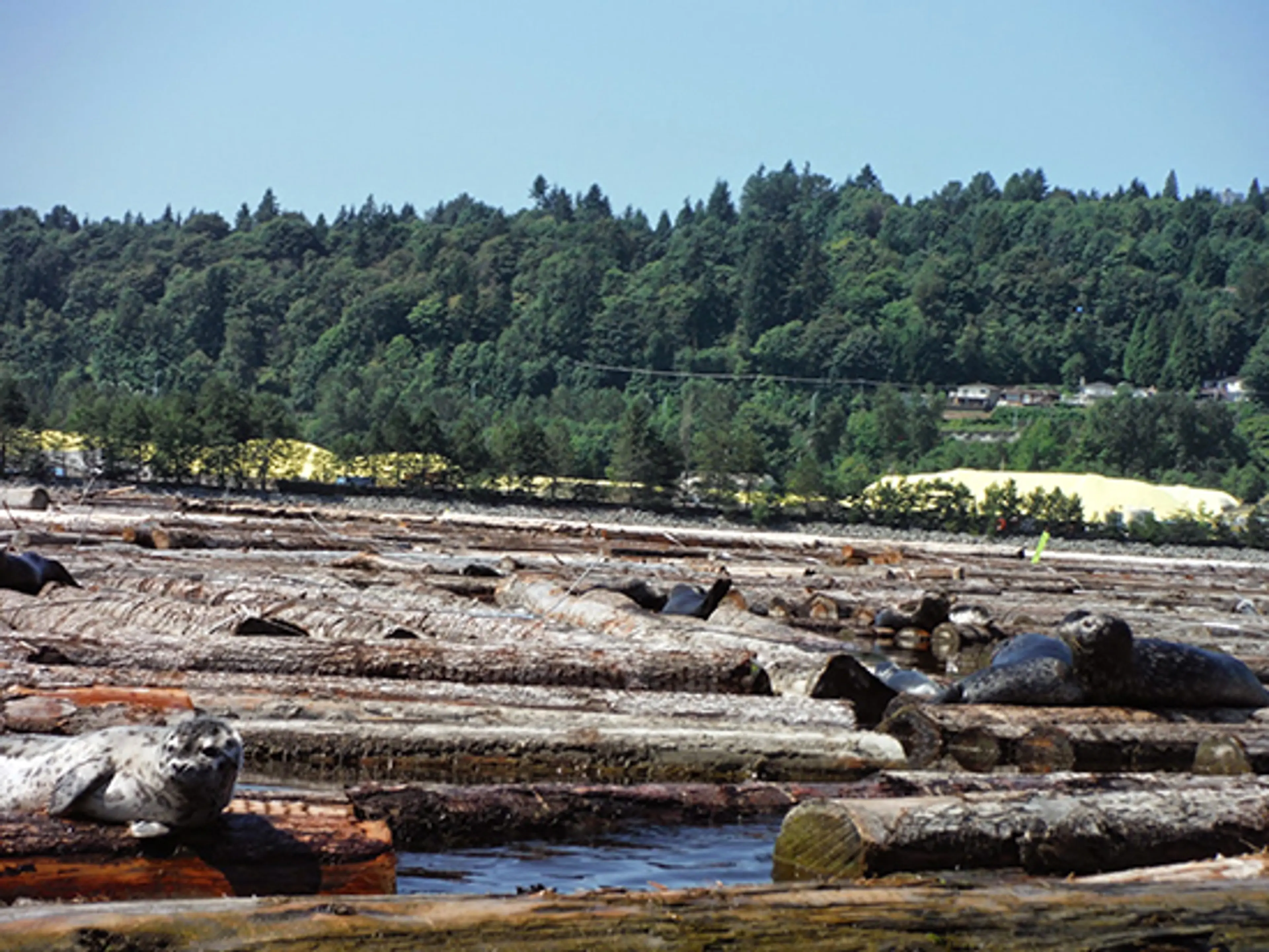 Discover Outdoors Barnet Marine Park2