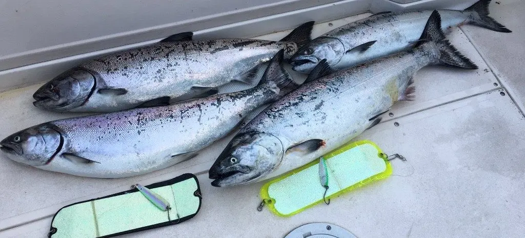Pacific Angler