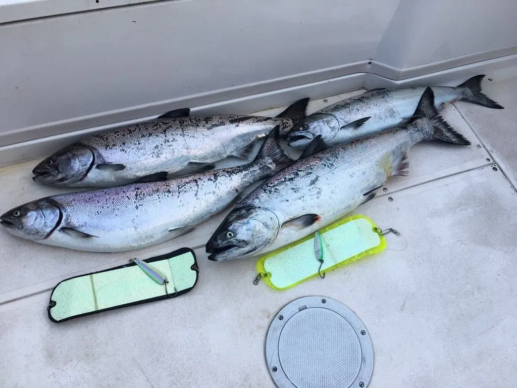 Pacific Angler