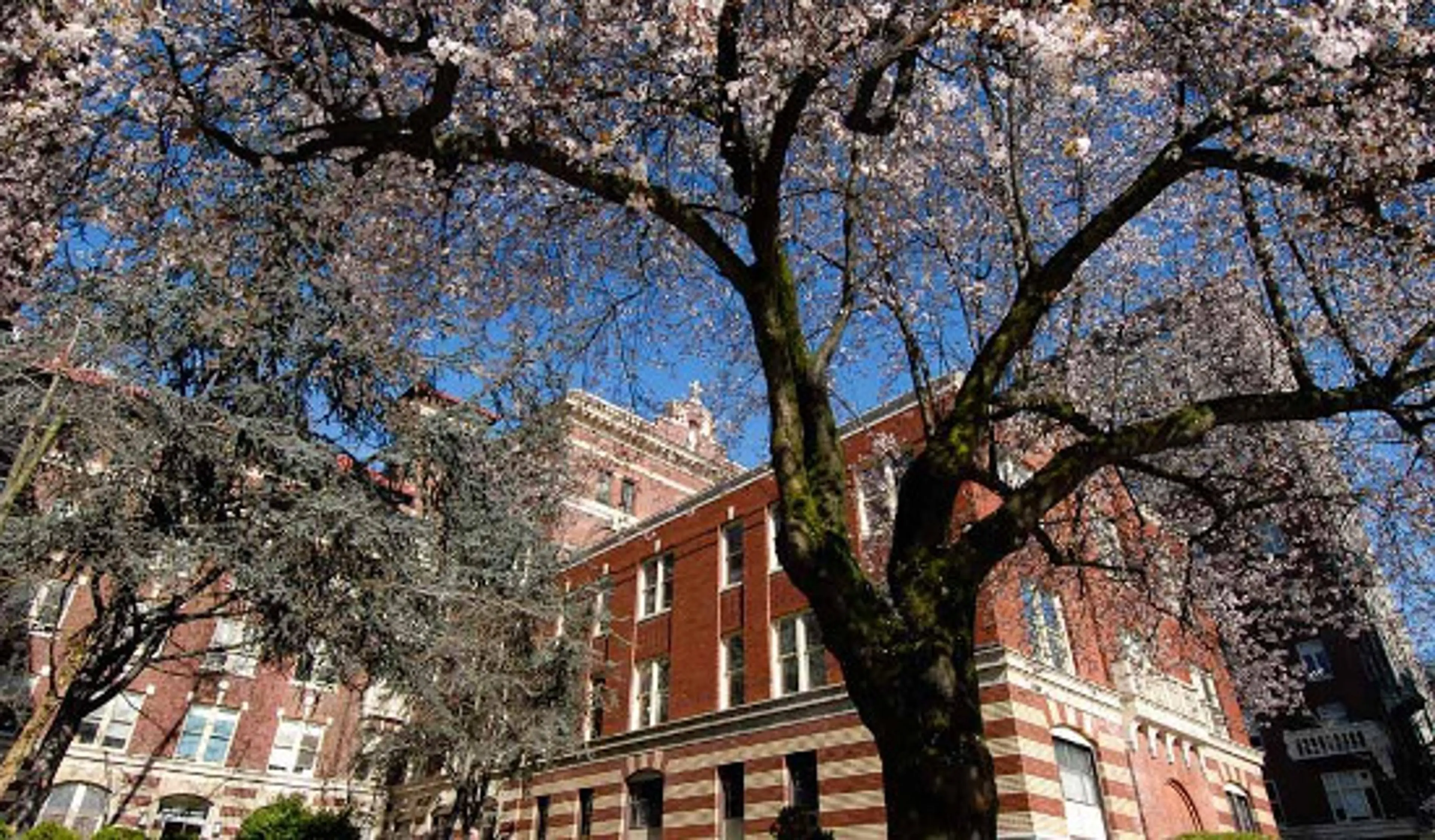 photo: Providence Health Care