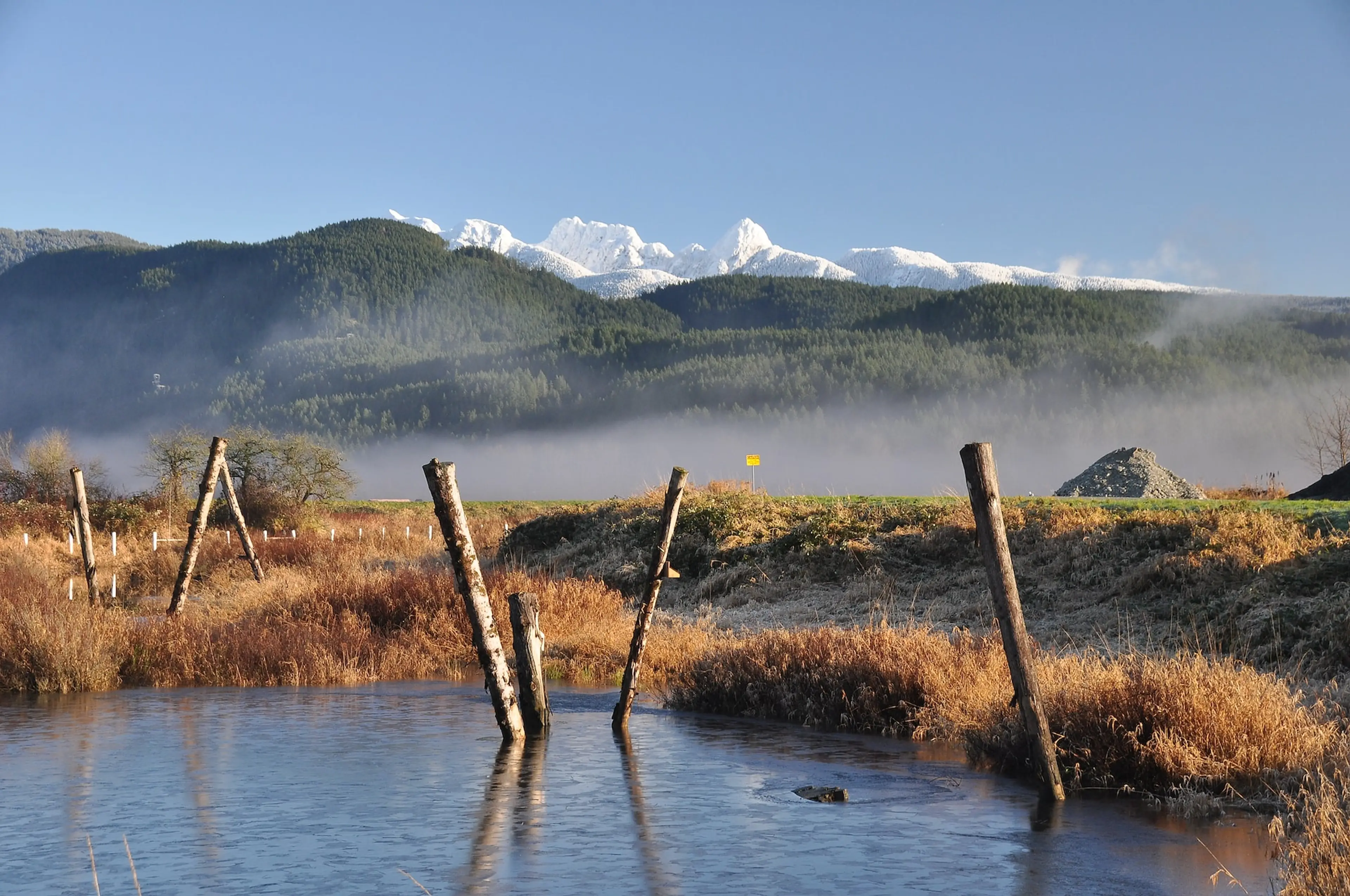 View from the dykes along the North Alouette River
