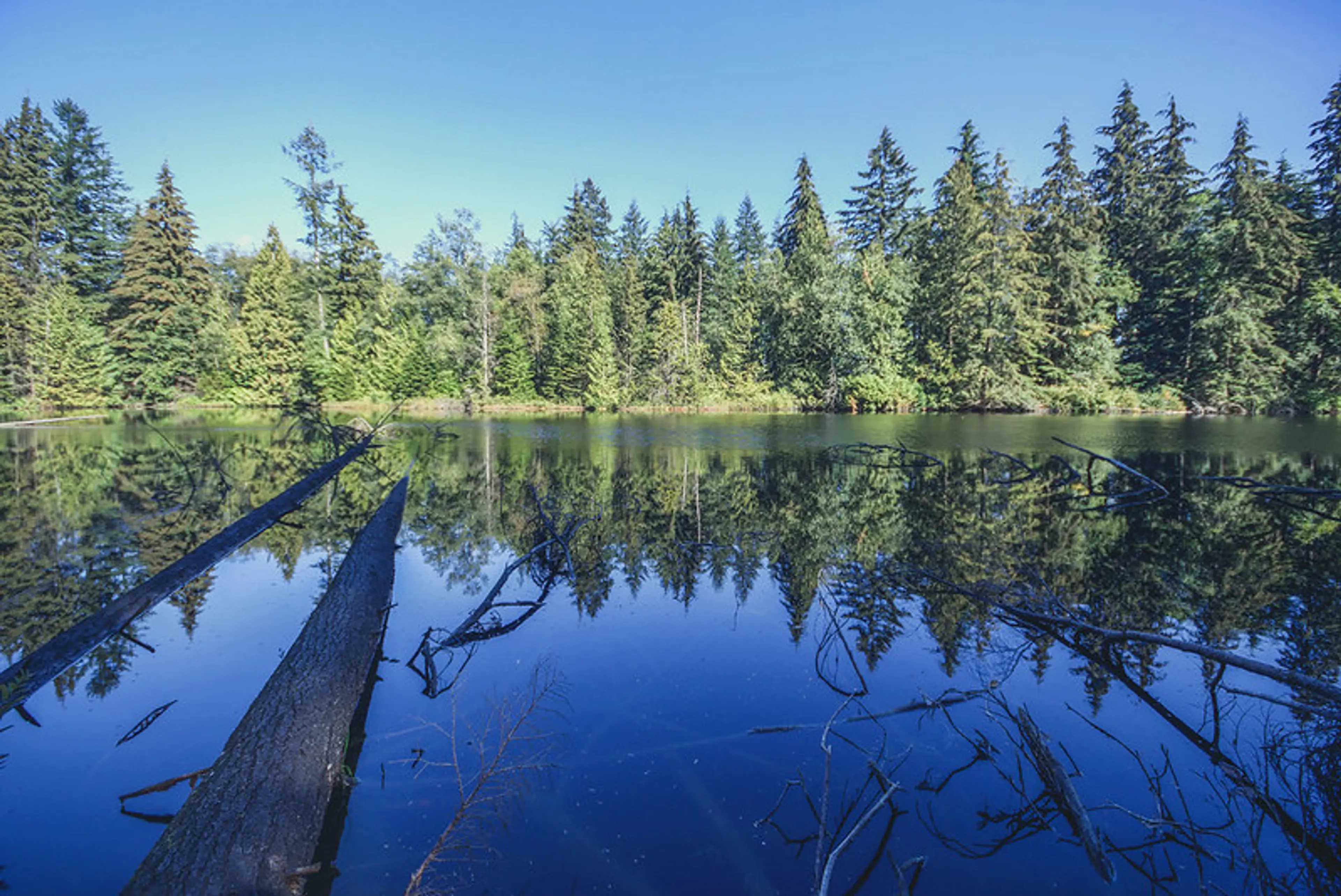 Mundy Park Trails