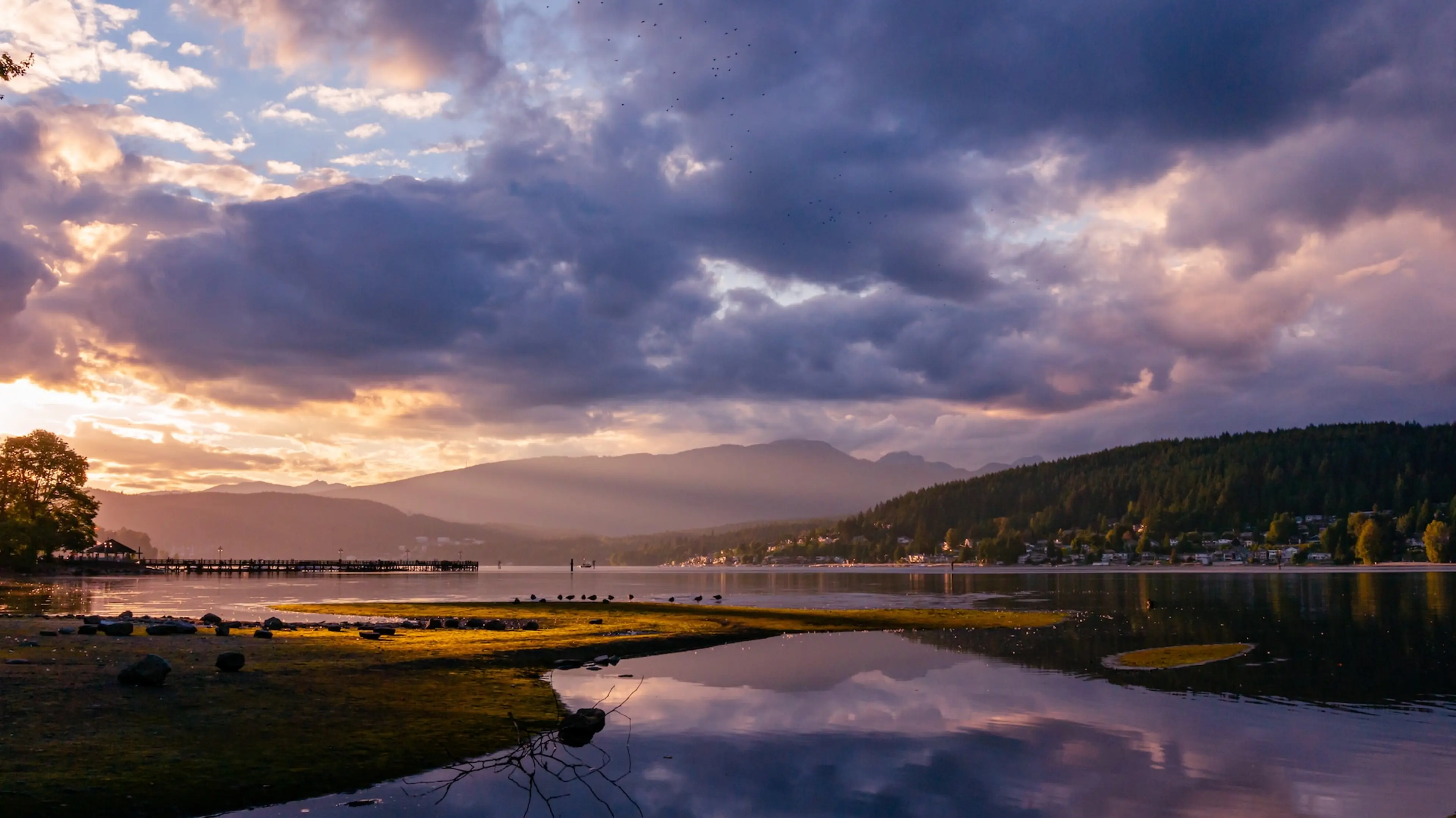 7 Ways to Get Outdoors in Port Moody