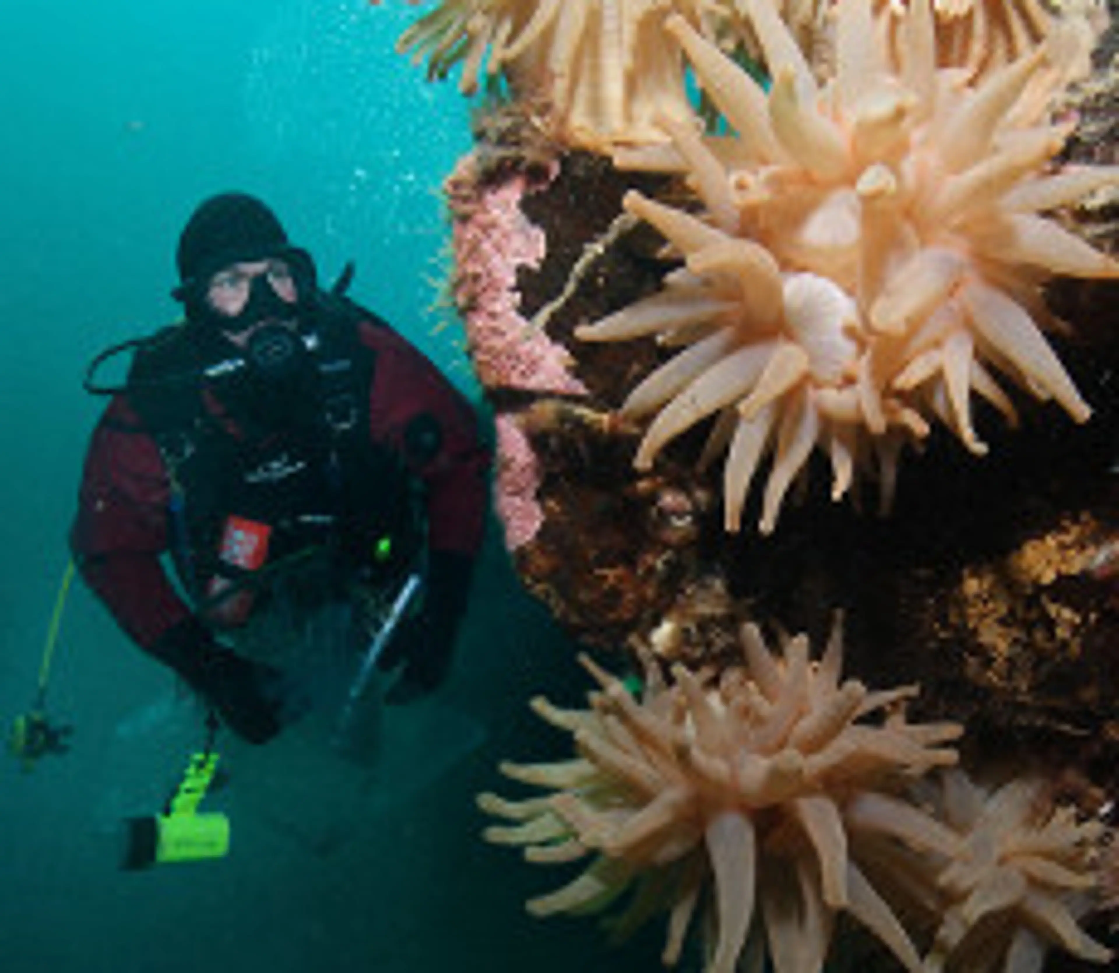 Diver's Weekend