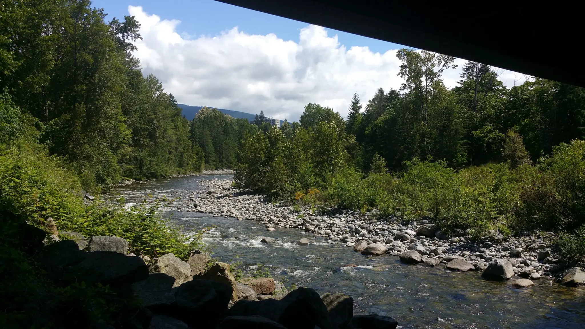 View along the Capilano Pacific Trail