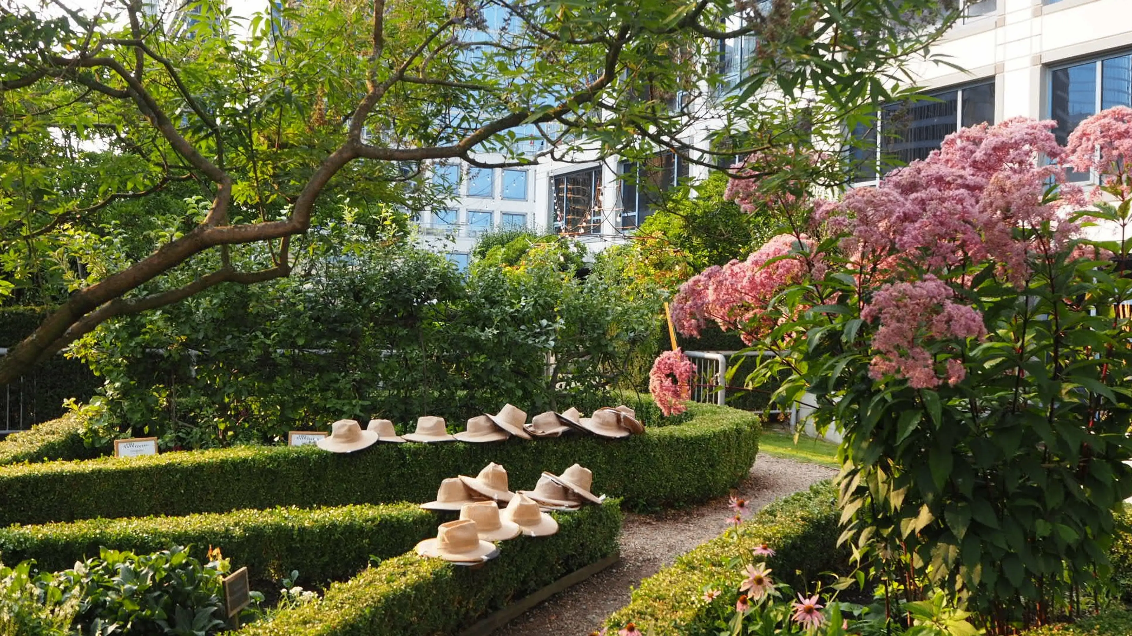 Garden maze with green hedges, pink flowers on the right, and several hats placed on the hedges.