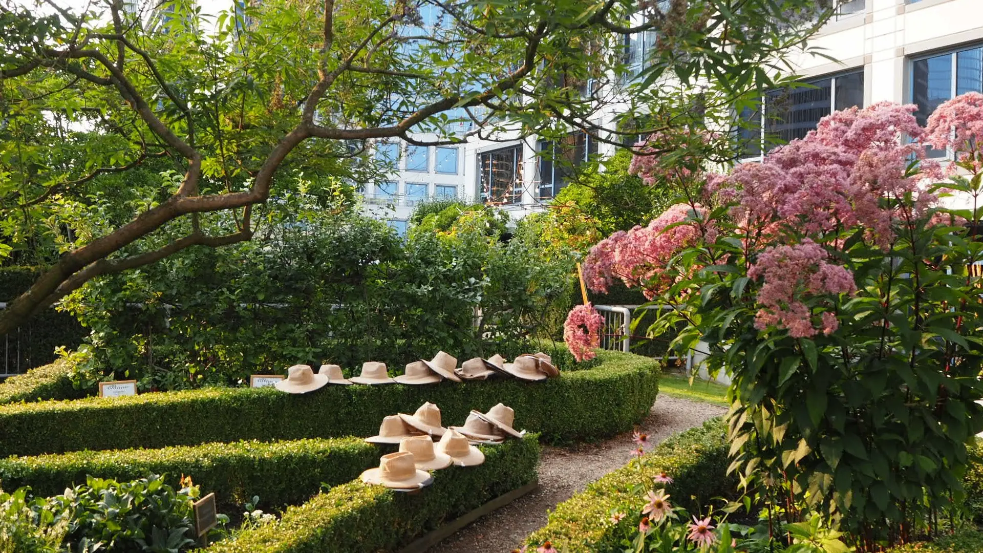 Garden maze with green hedges, pink flowers on the right, and several hats placed on the hedges.