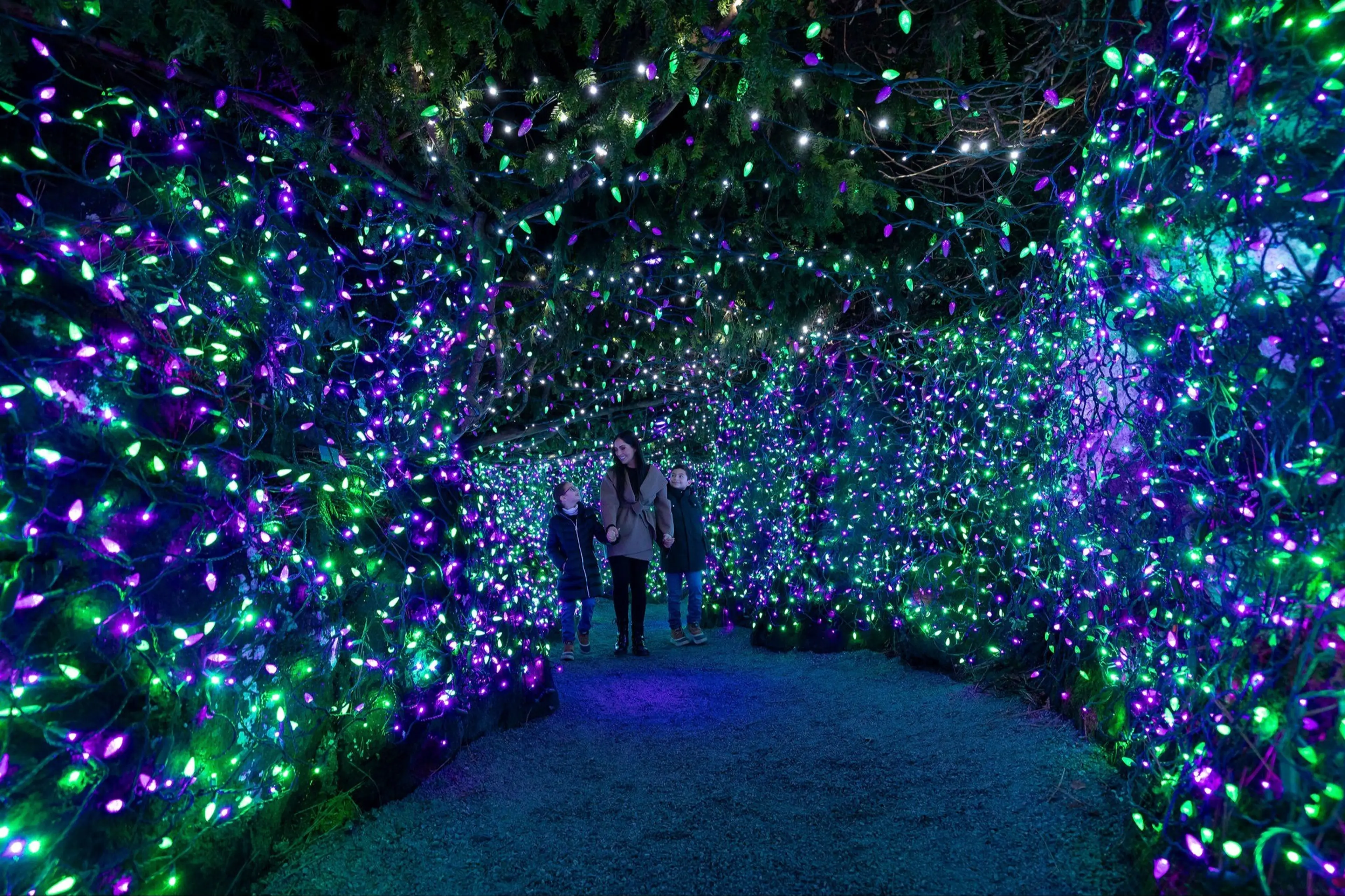 w-2048h-1365-69b134-COV-VanDusen-FOL-2024-1170